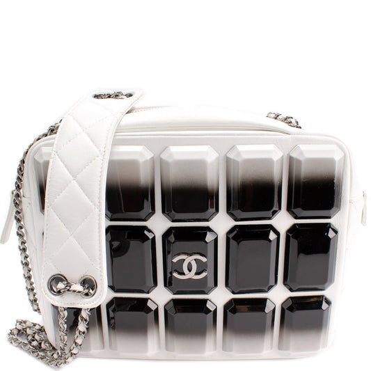 Chanel Evening Art Embellished Camera Crossbody Bag
