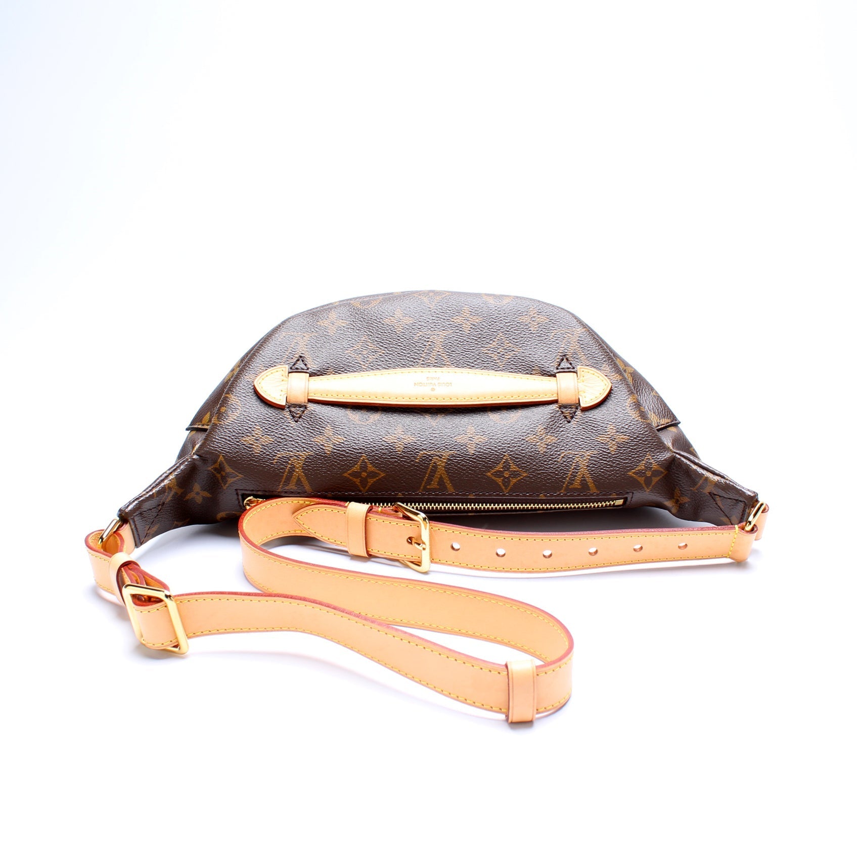 Louis Vuitton Bumbag Monogram Handbag Monogram 5