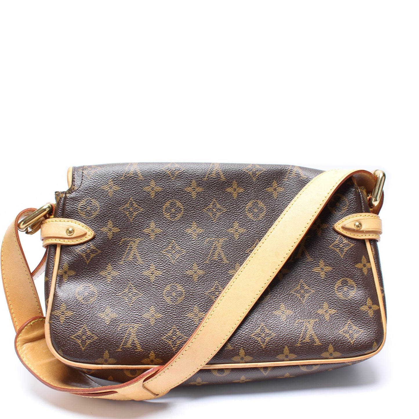 Louis Vuitton Hudson PM Monogram Handbag
