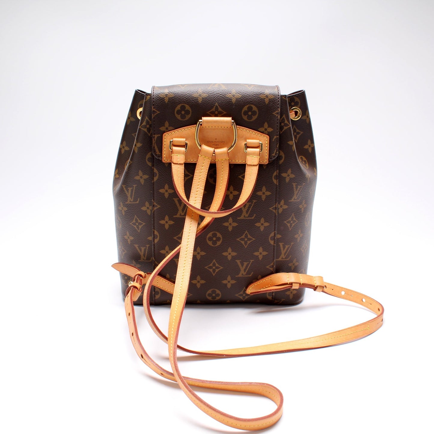 Louis Vuitton Montsouris NM Monogram Handbag