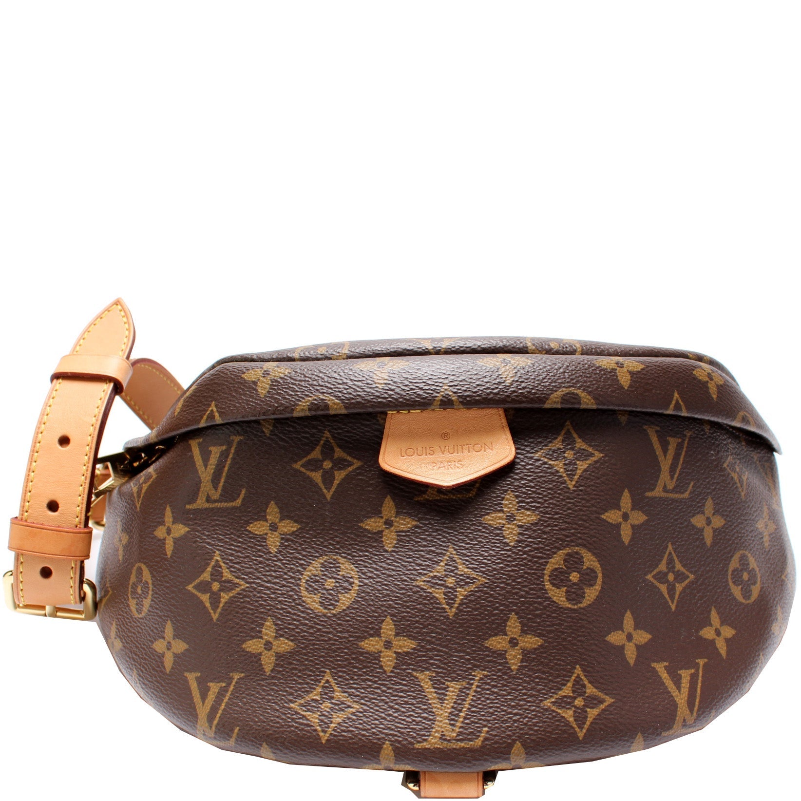 Louis Vuitton Bumbag Monogram Handbag Monogram 11