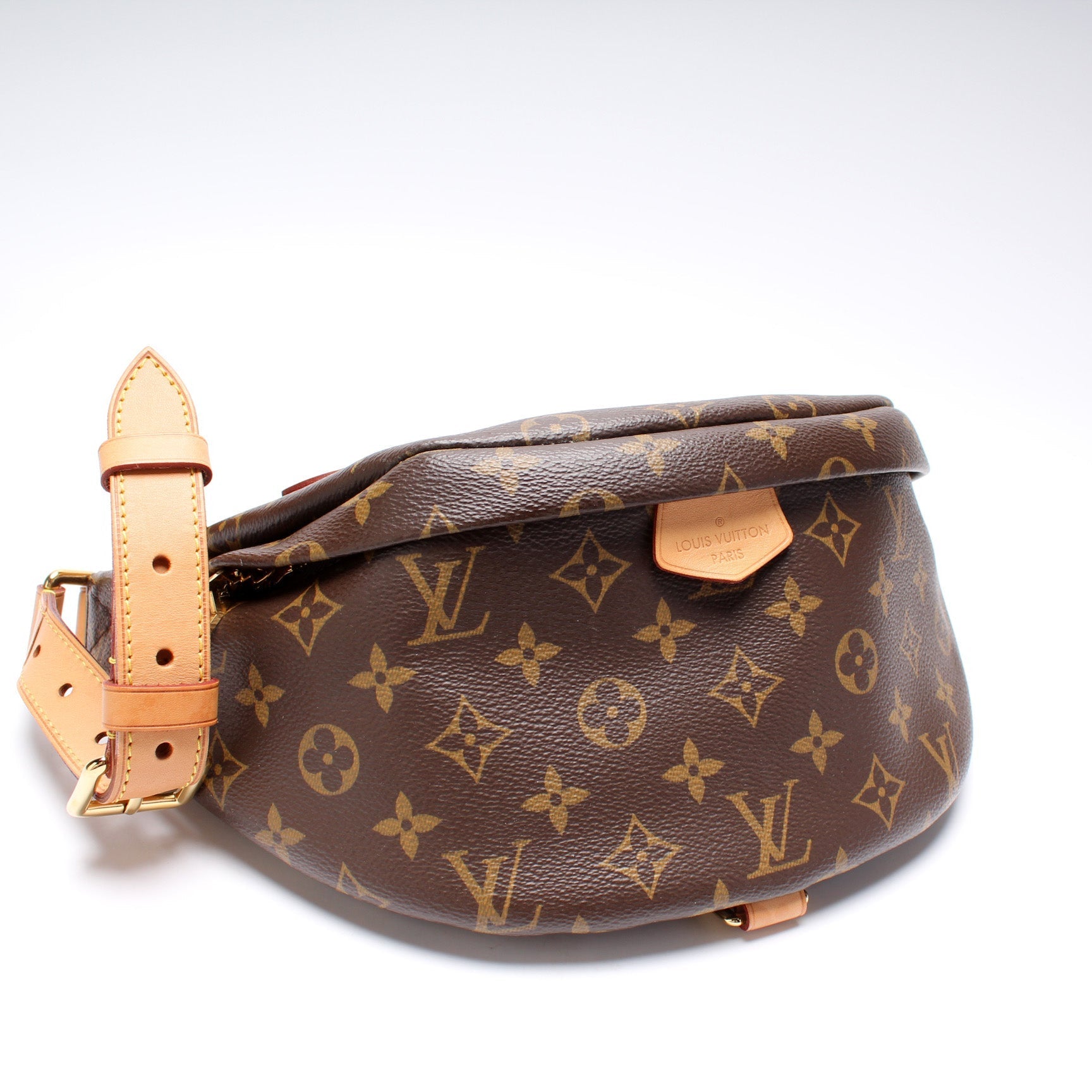 Louis Vuitton Bumbag Monogram Handbag Monogram 11