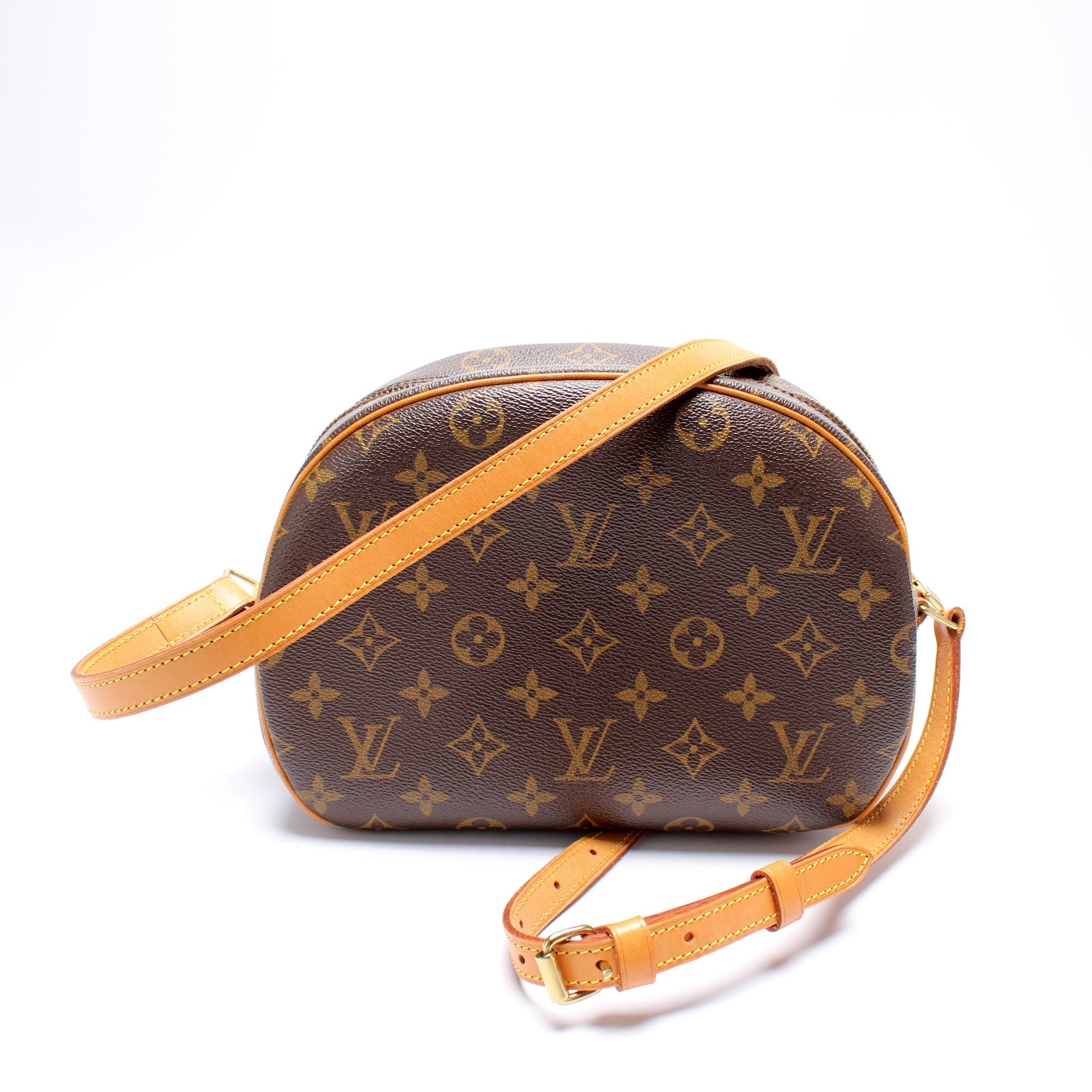 Louis Vuitton Blois Monogram Crossbody Bag 20