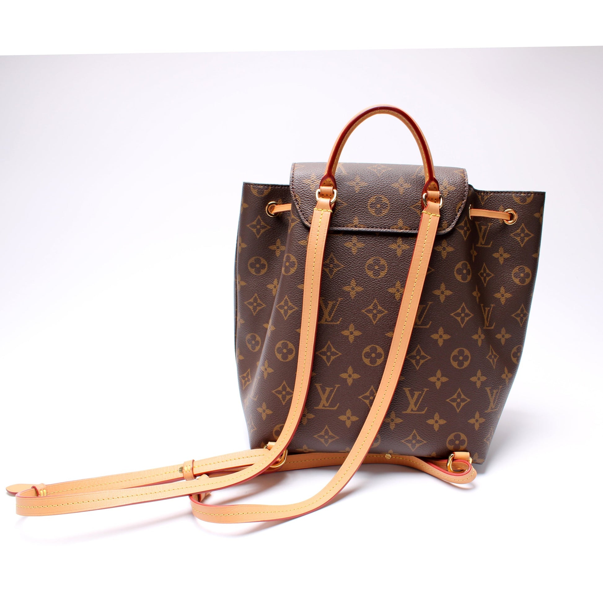 Louis Vuitton Montsouris PM NM Monogram Handbag Monogram 1