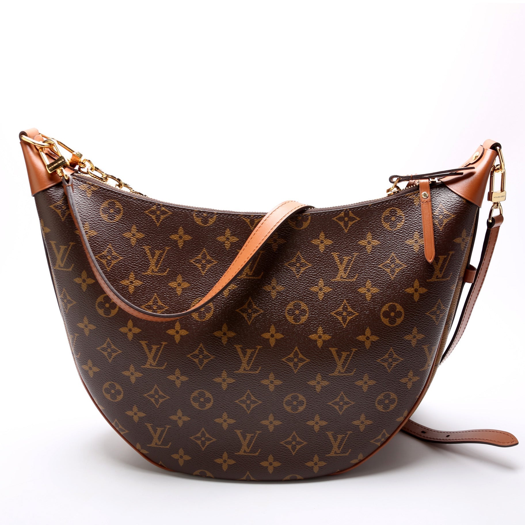 Louis Vuitton Loop Reverse Monogram Shoulder Bag