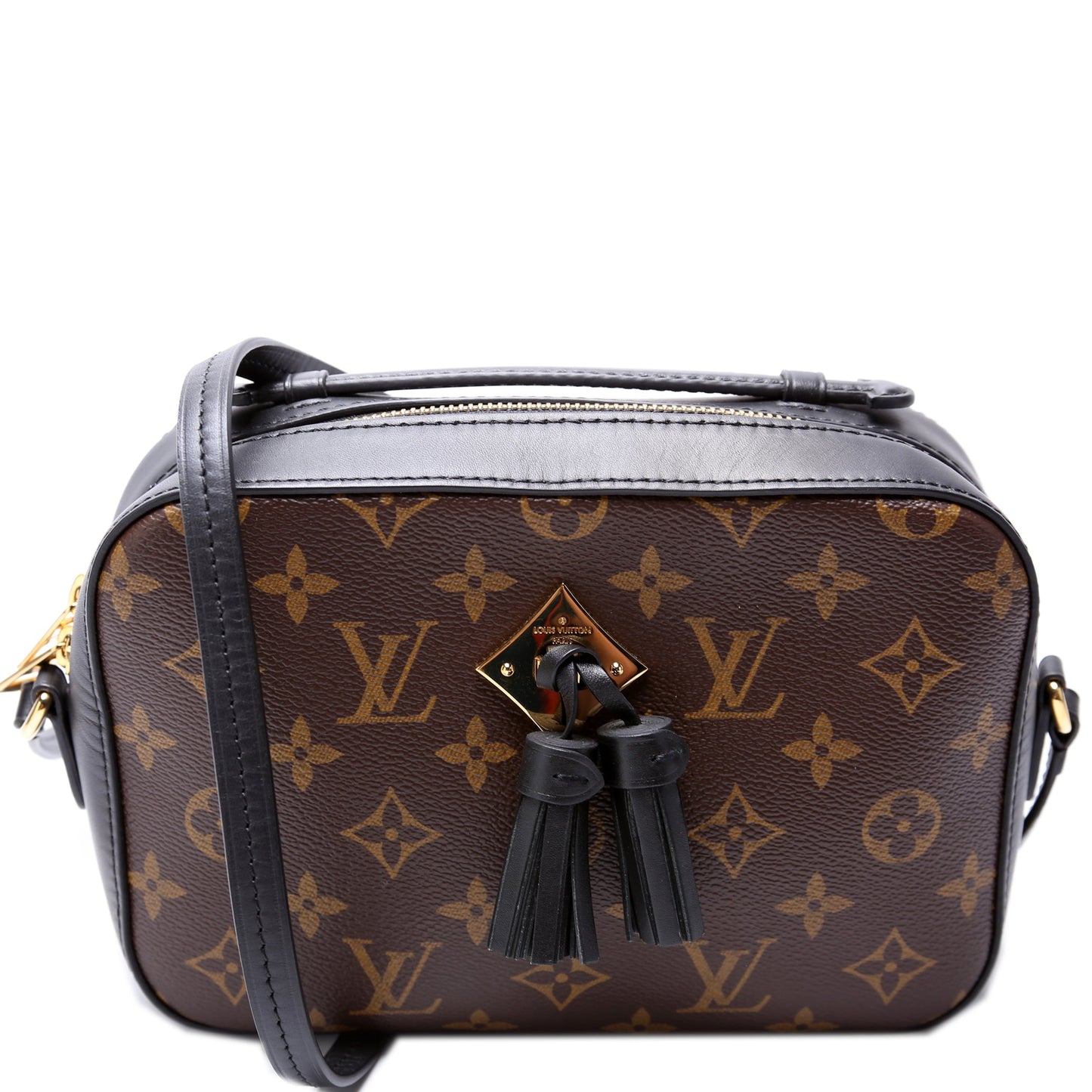 Louis Vuitton Saintogne Monogram Handbag Monogram 5