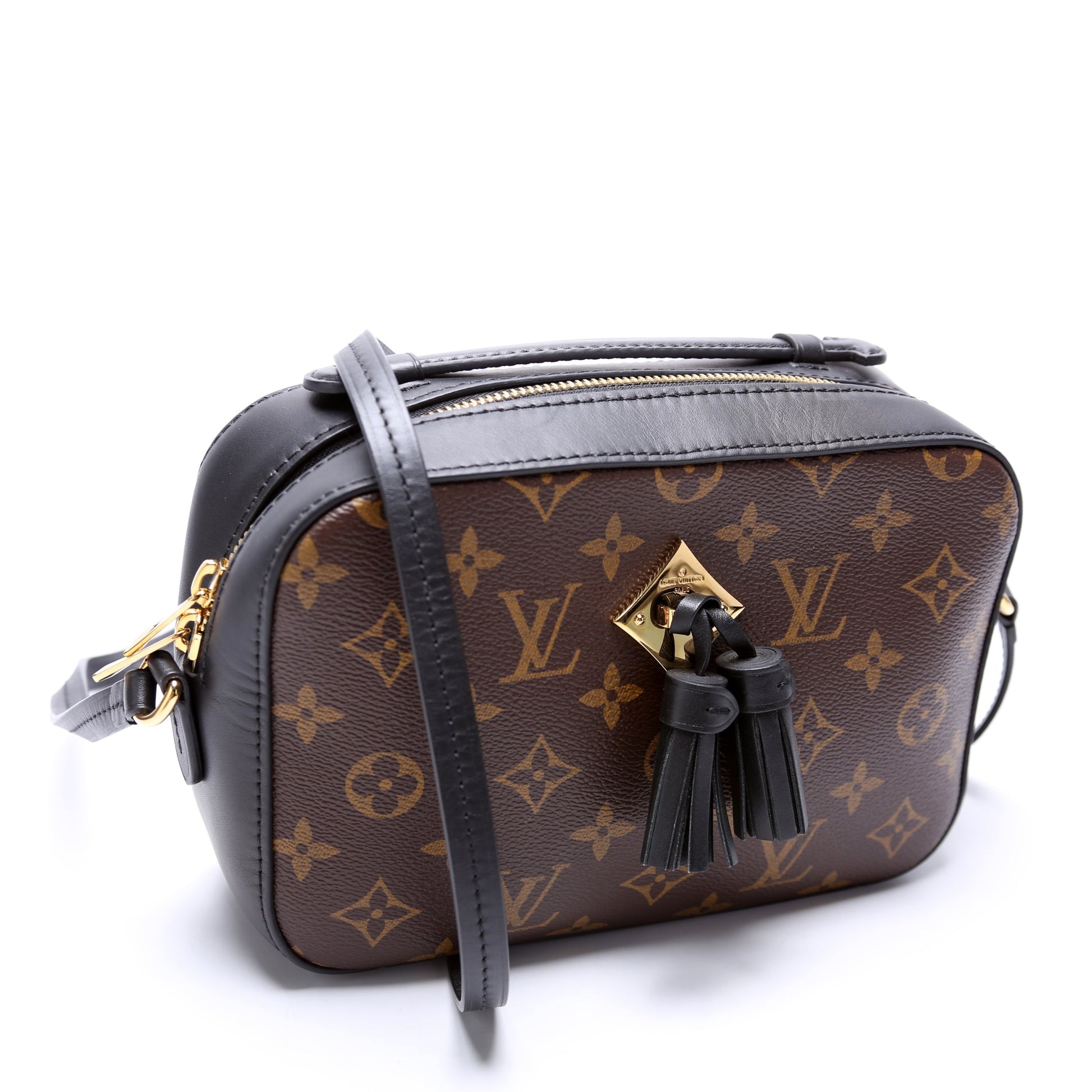 Louis Vuitton Saintogne Monogram Handbag Monogram 5