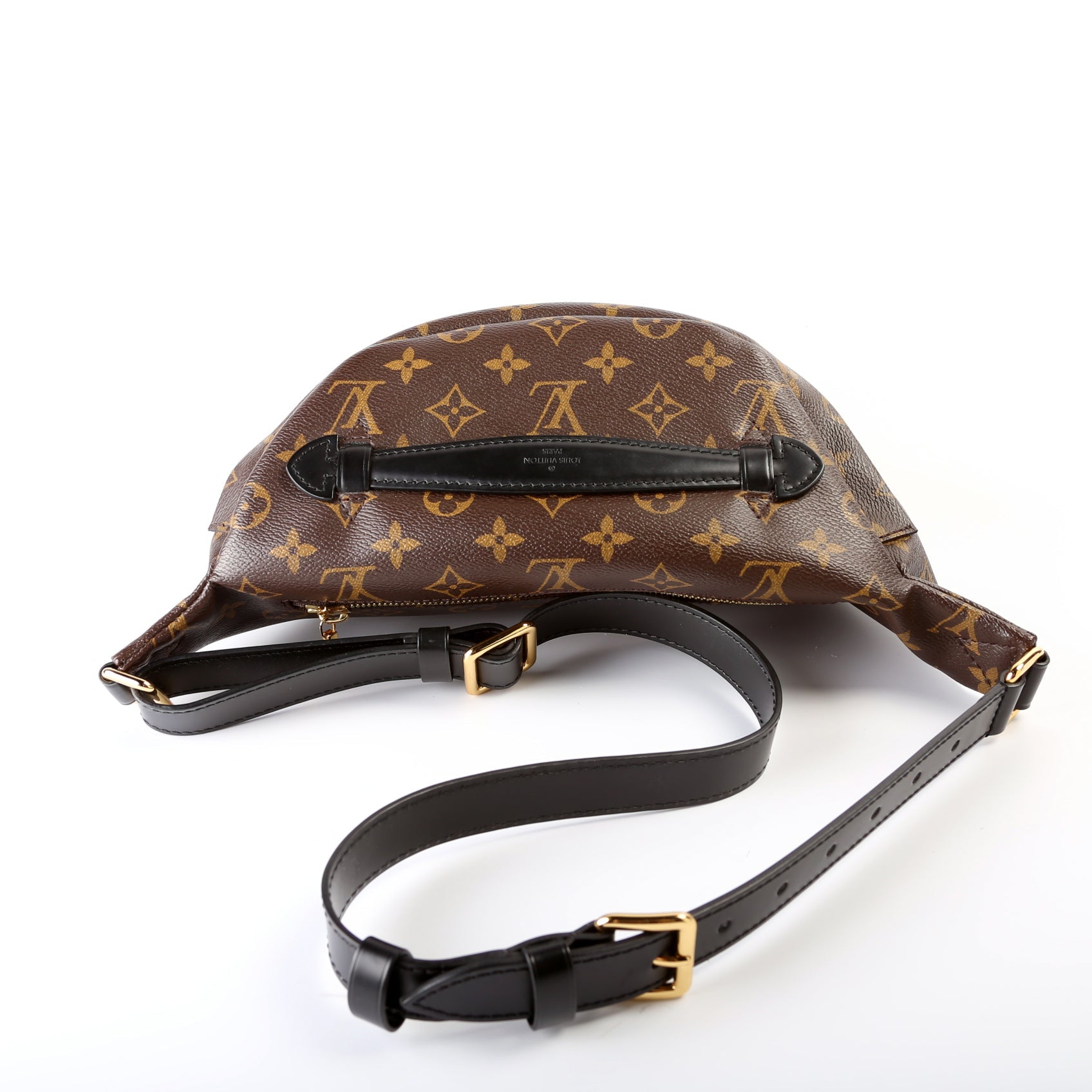 Louis Vuitton Bumbag World Tour Monogram Handbag