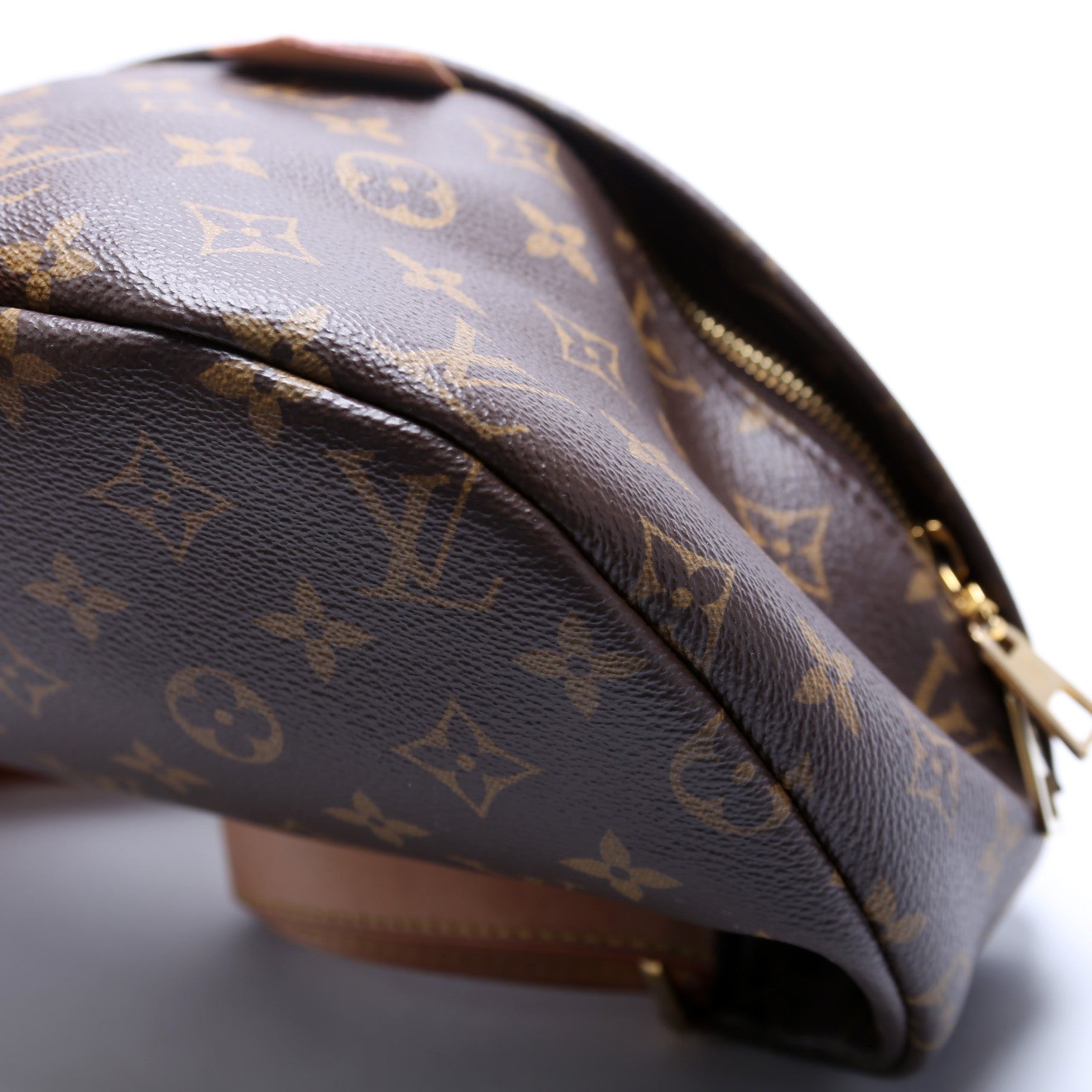Louis Vuitton Bumbag Monogram Handbag 54