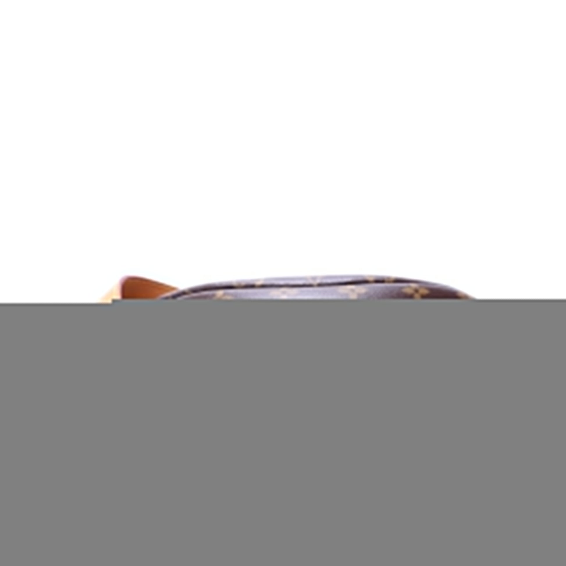 Louis Vuitton Bumbag Monogram Handbag Monogram 56