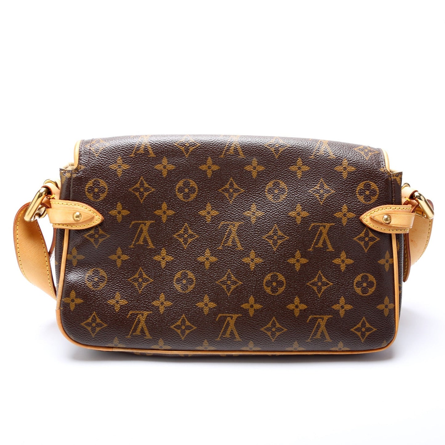 Louis Vuitton Hudson PM Monogram Handbag Monogram 1