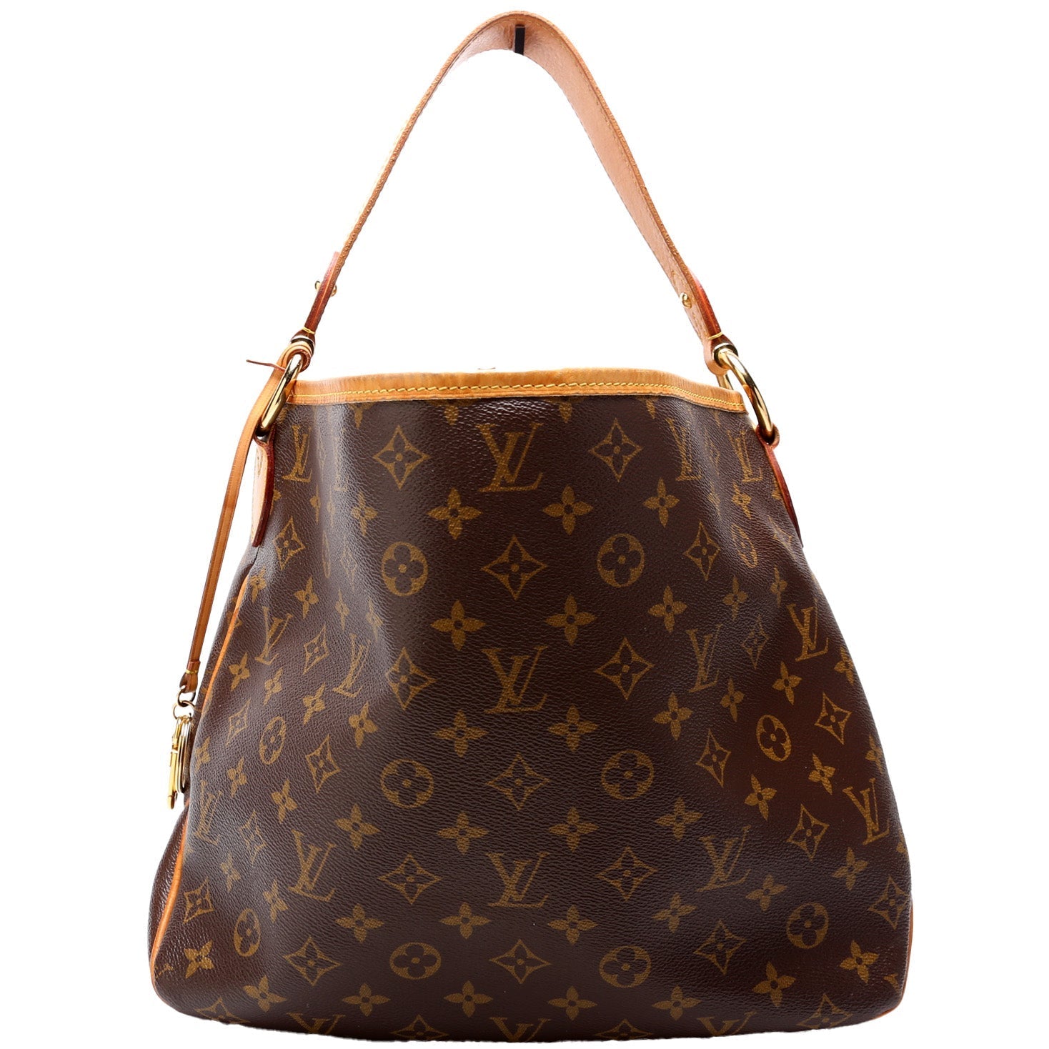 Louis Vuitton Delightful PM Monogram Handbag Monogram 7