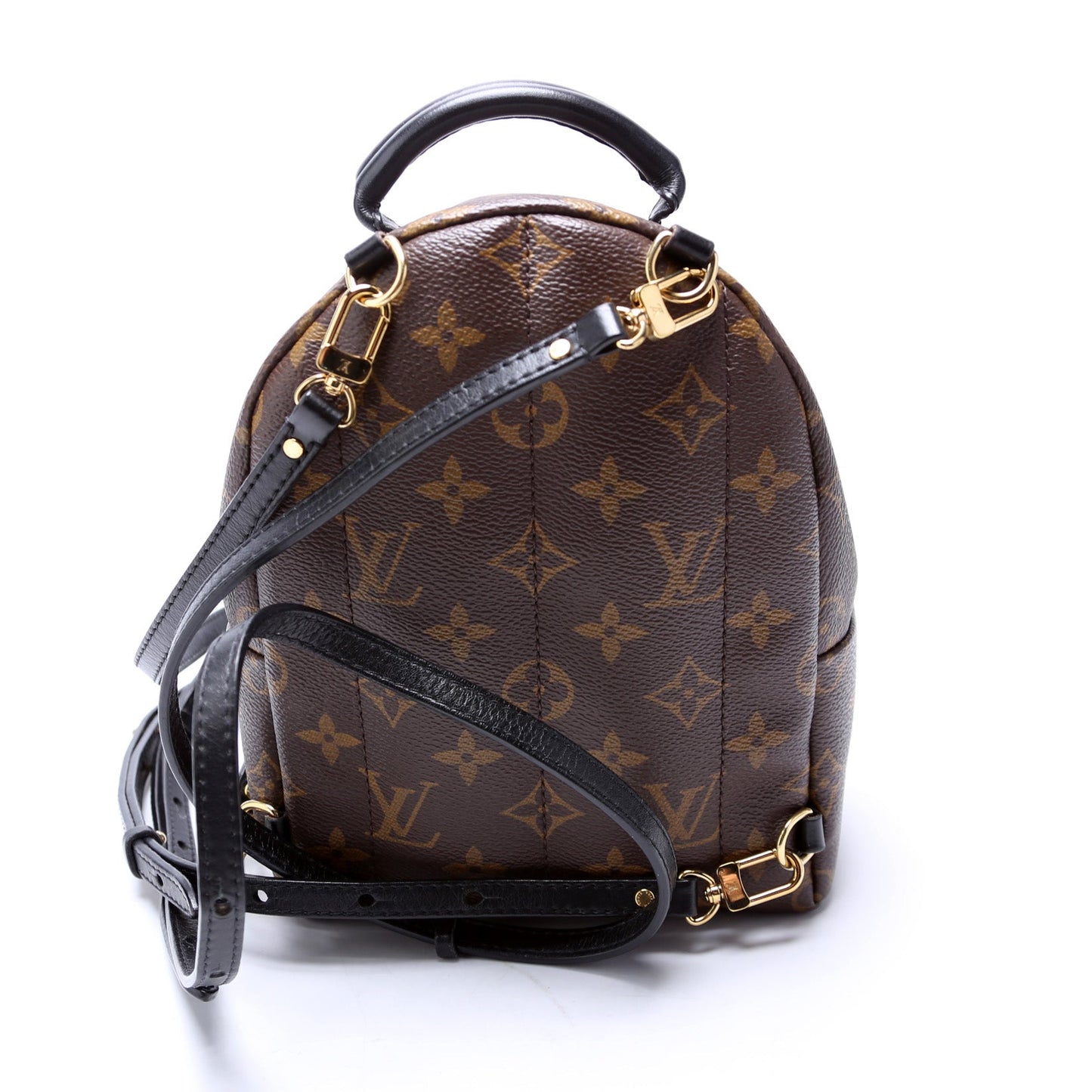 Louis Vuitton Palm Springs Monogram Jewelry Mini Monogram