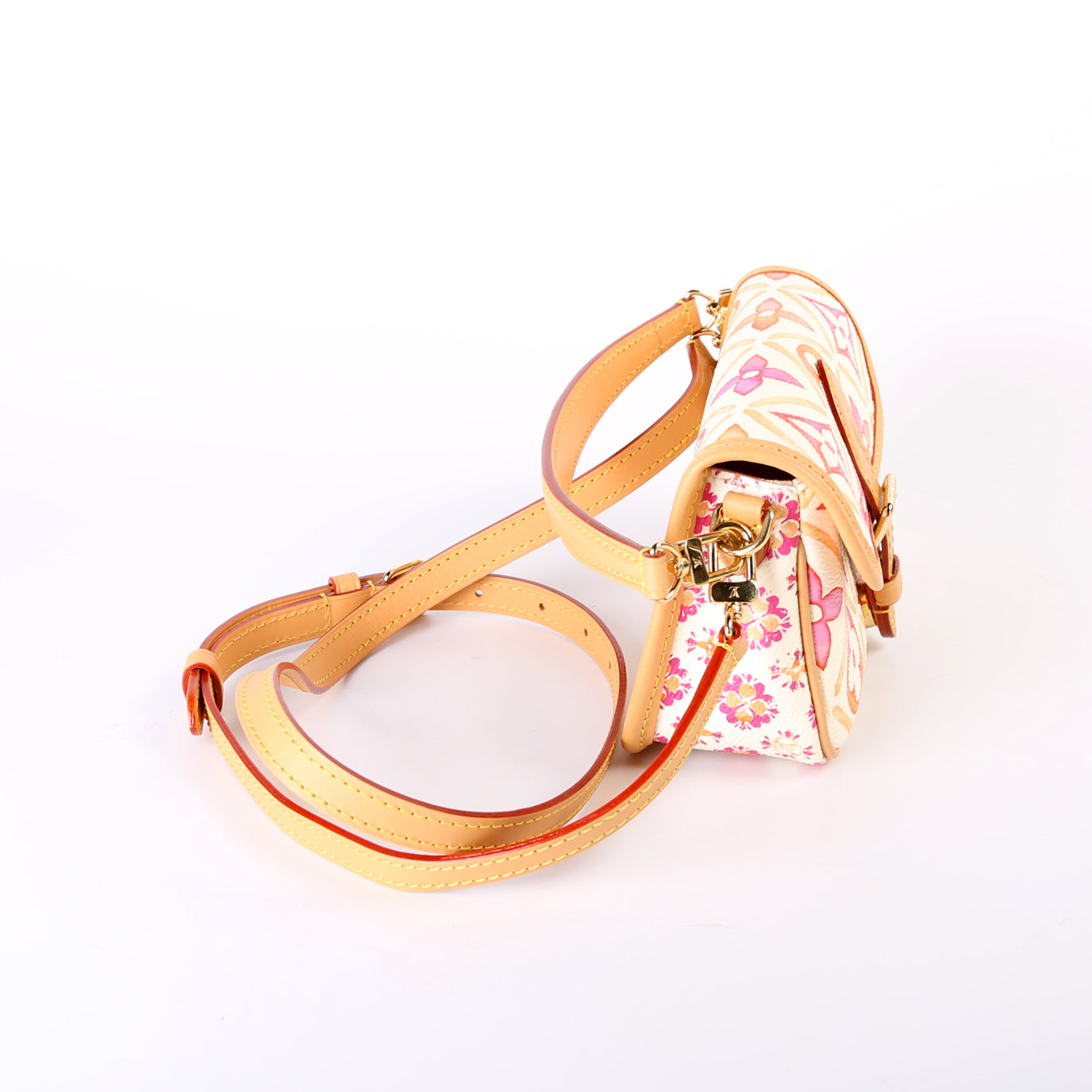 Louis Vuitton Diane 'By Pool' Monogram Nano Handbag