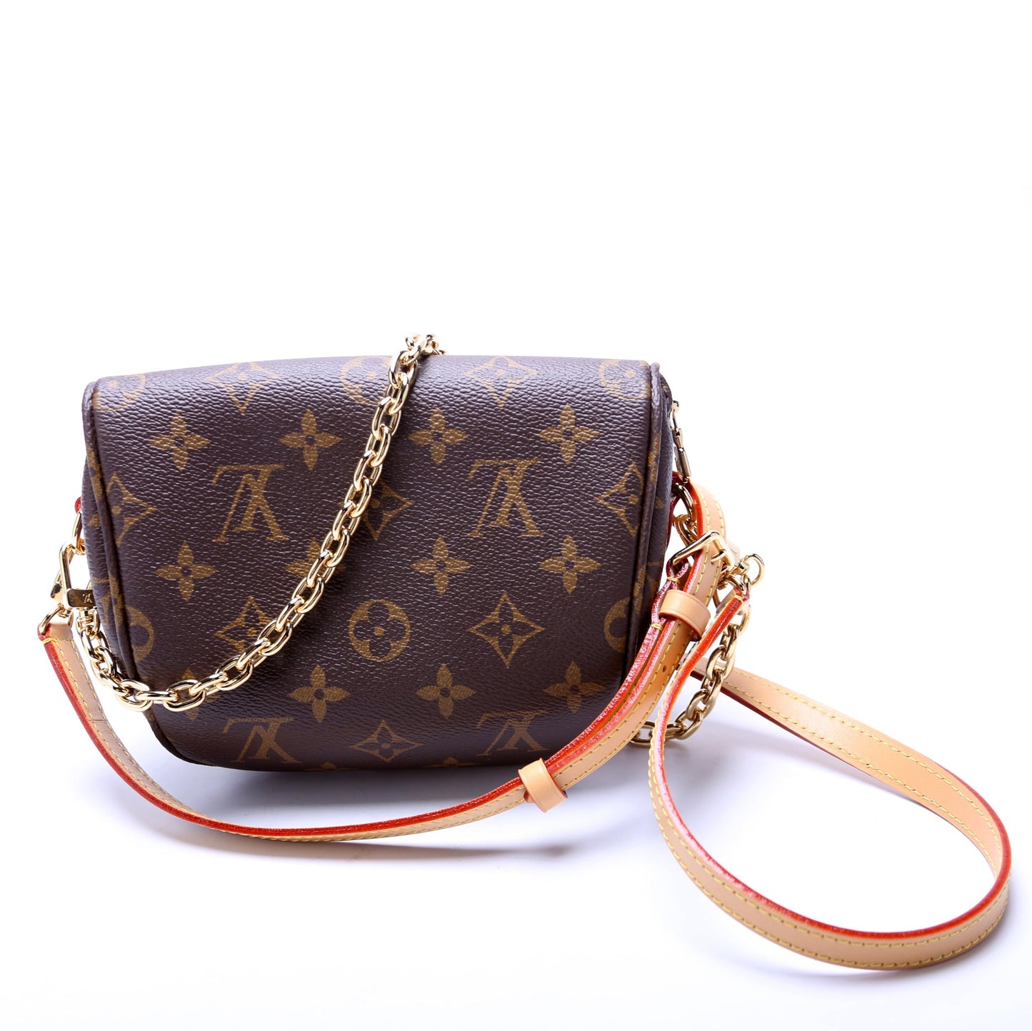 Louis Vuitton Bumbag Monogram Mini Bag Monogram 1