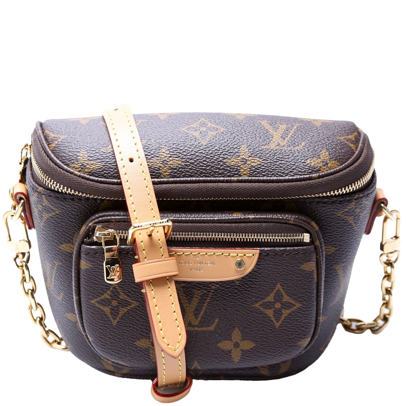 Louis Vuitton Bumbag Monogram Mini Bag Monogram 2