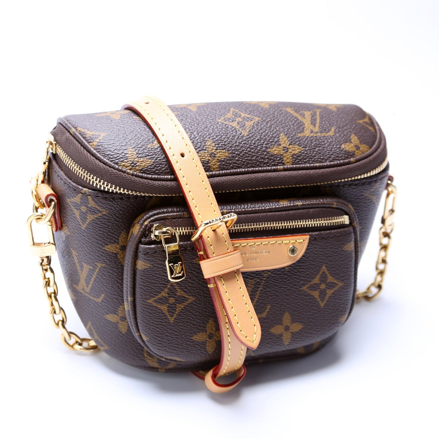 Louis Vuitton Bumbag Monogram Mini Bag Monogram 2