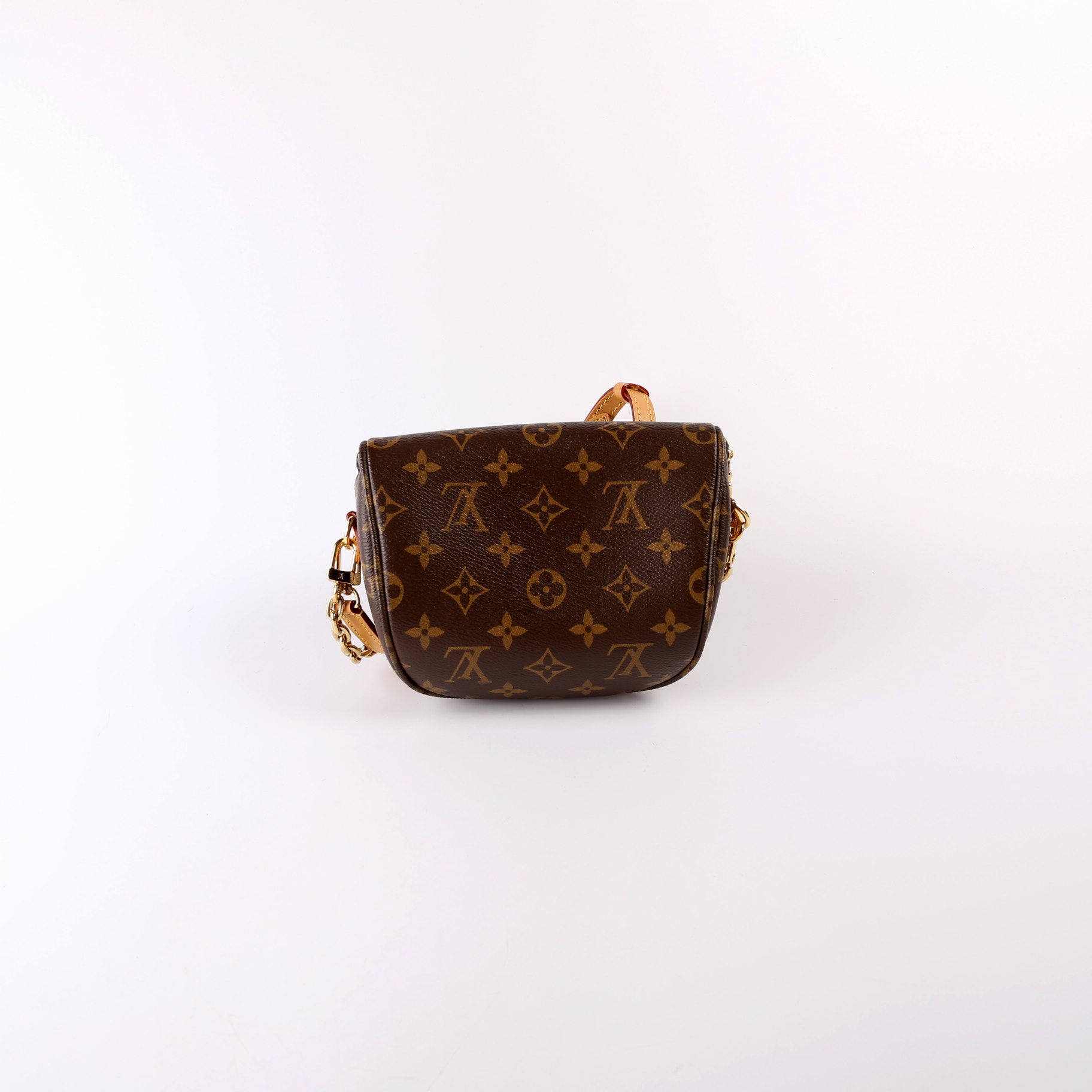 Louis Vuitton Bumbag Monogram Mini Bag Monogram 4