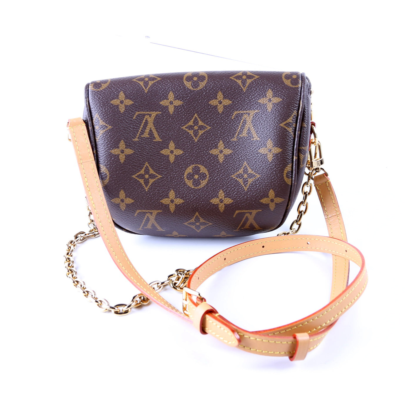 Louis Vuitton Bumbag Monogram Mini Bag Monogram 5