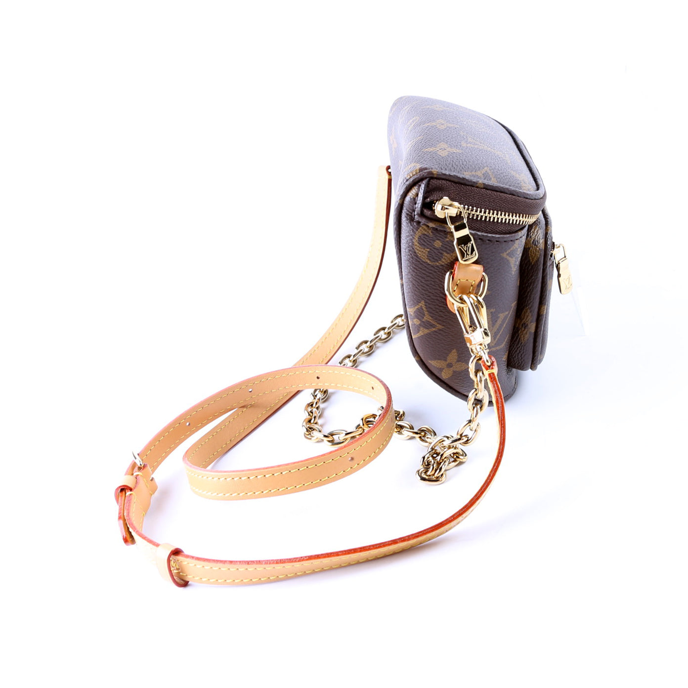 Louis Vuitton Bumbag Monogram Mini Bag Monogram 5