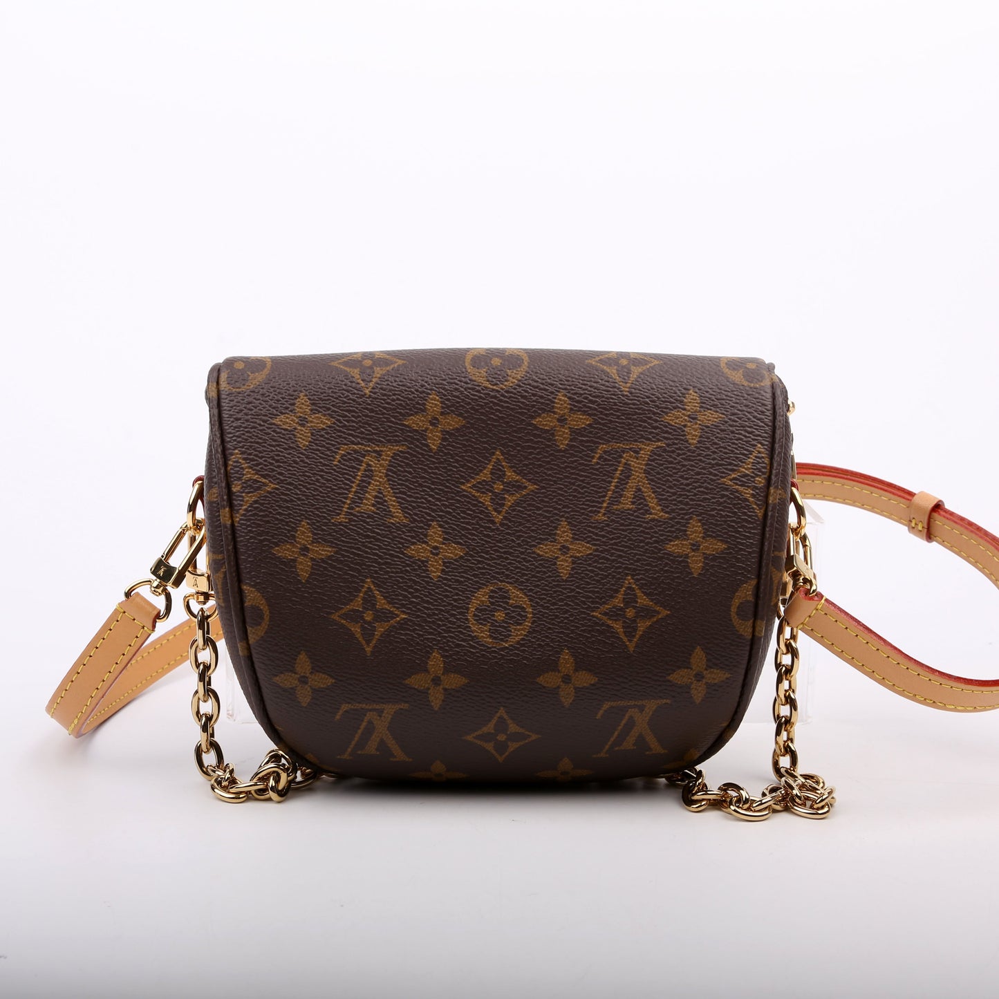 Louis Vuitton Bumbag Monogram Mini Bag Monogram 8