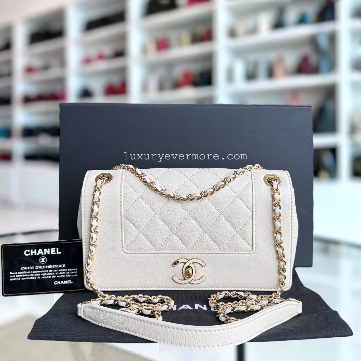 Chanel Mademoiselle Seasonal Flap - Small Quilted Lambskin Medium White Gold Hardware Series 23