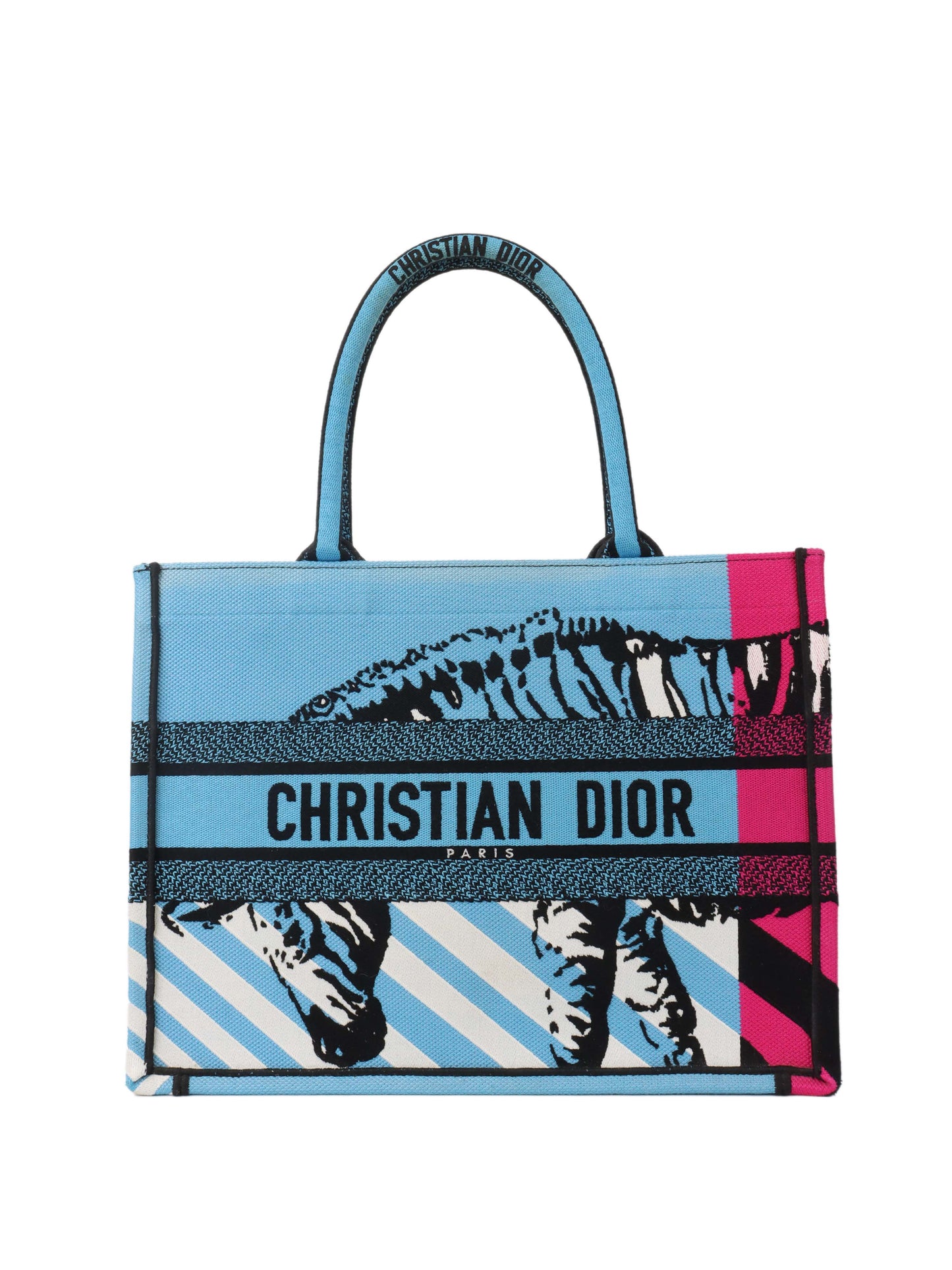 Dior Tote Bag Book Tote Blue Small