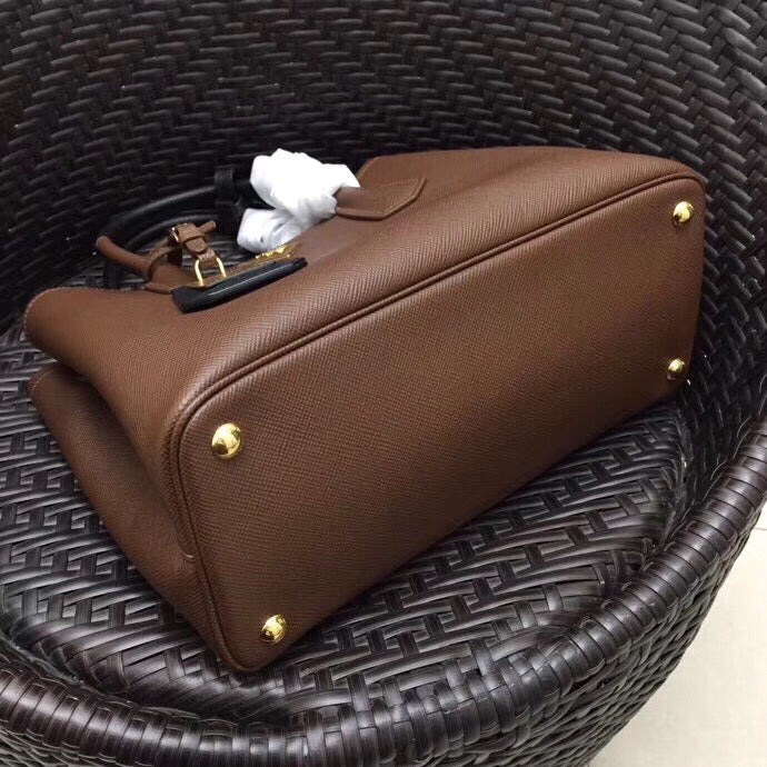 Prada Bicolor Double Palisander Bag Saffiano Medium Travel Bag