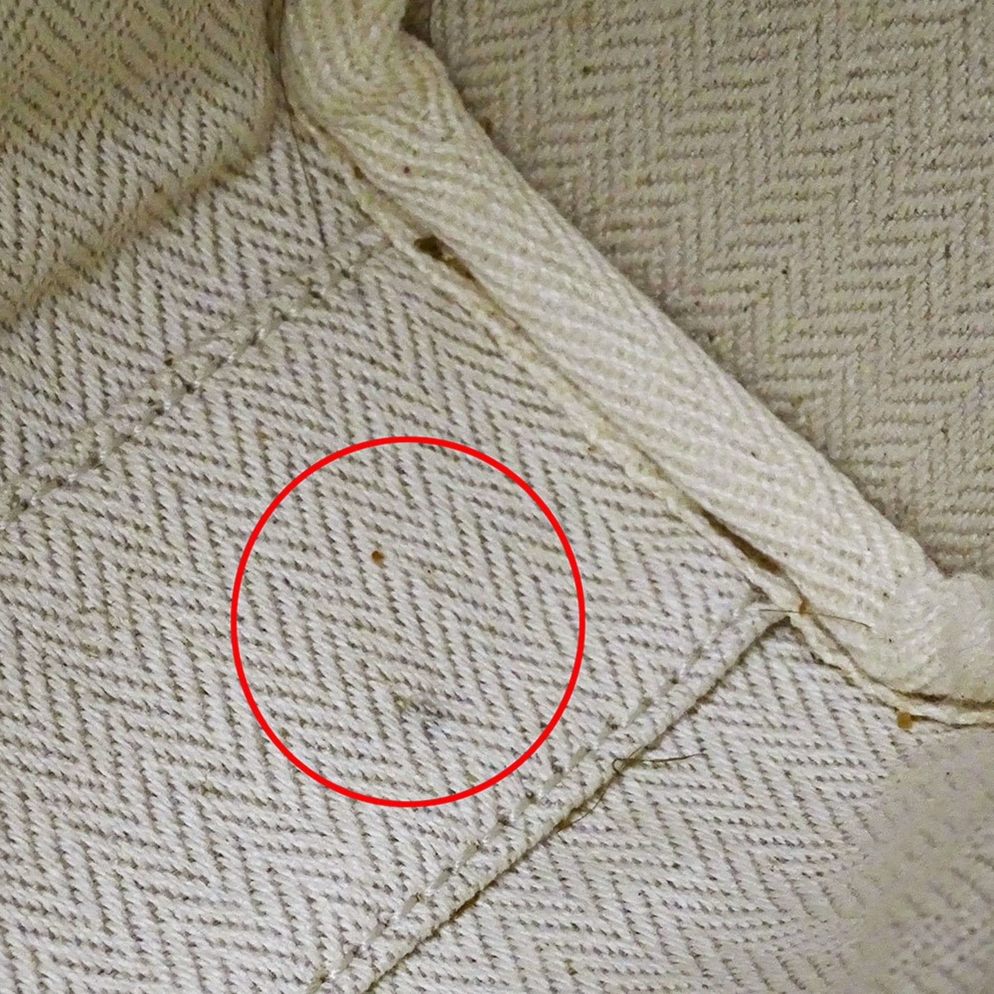 Gucci Beige Brown Gg Supreme Shoulder Bag