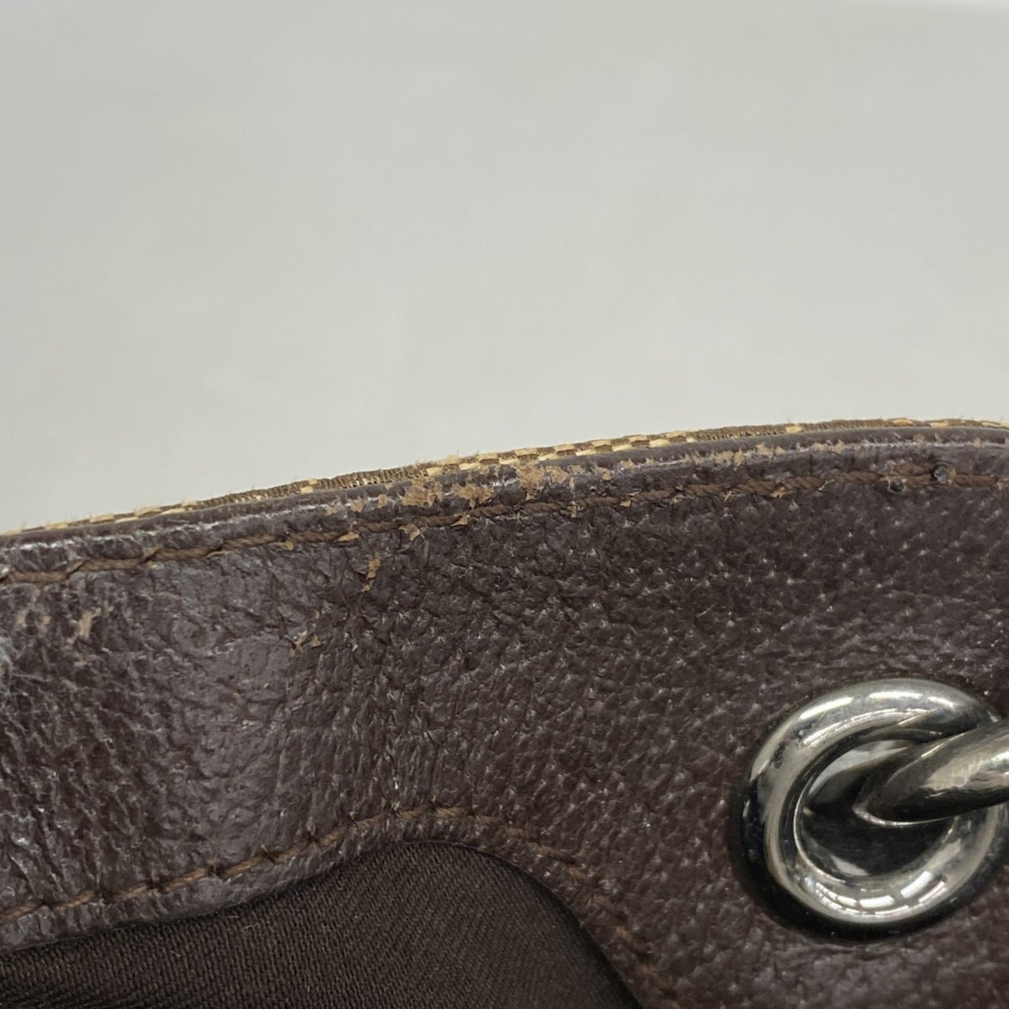 Gucci Brown Canvas Tote Bag