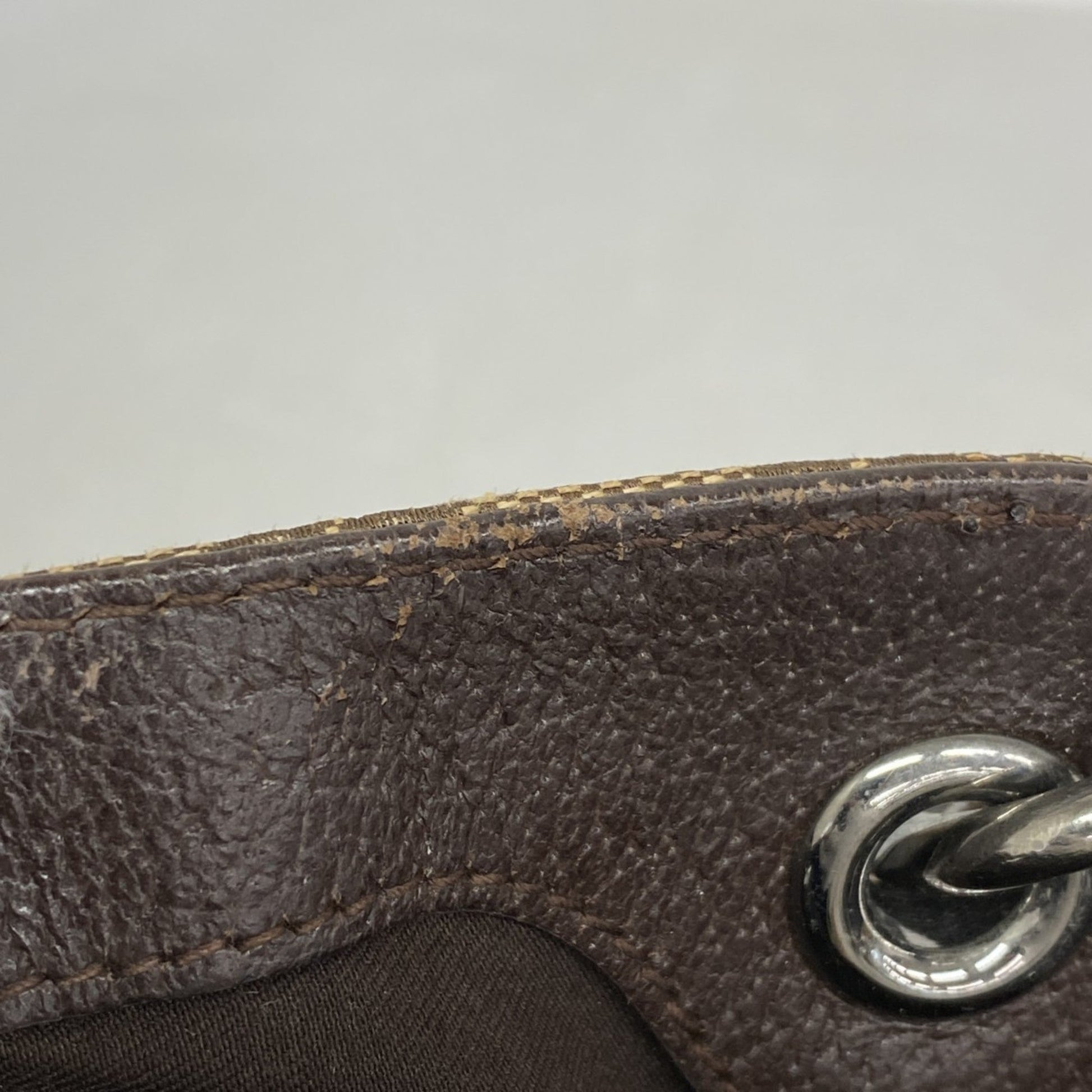 Gucci Brown Canvas Tote Bag