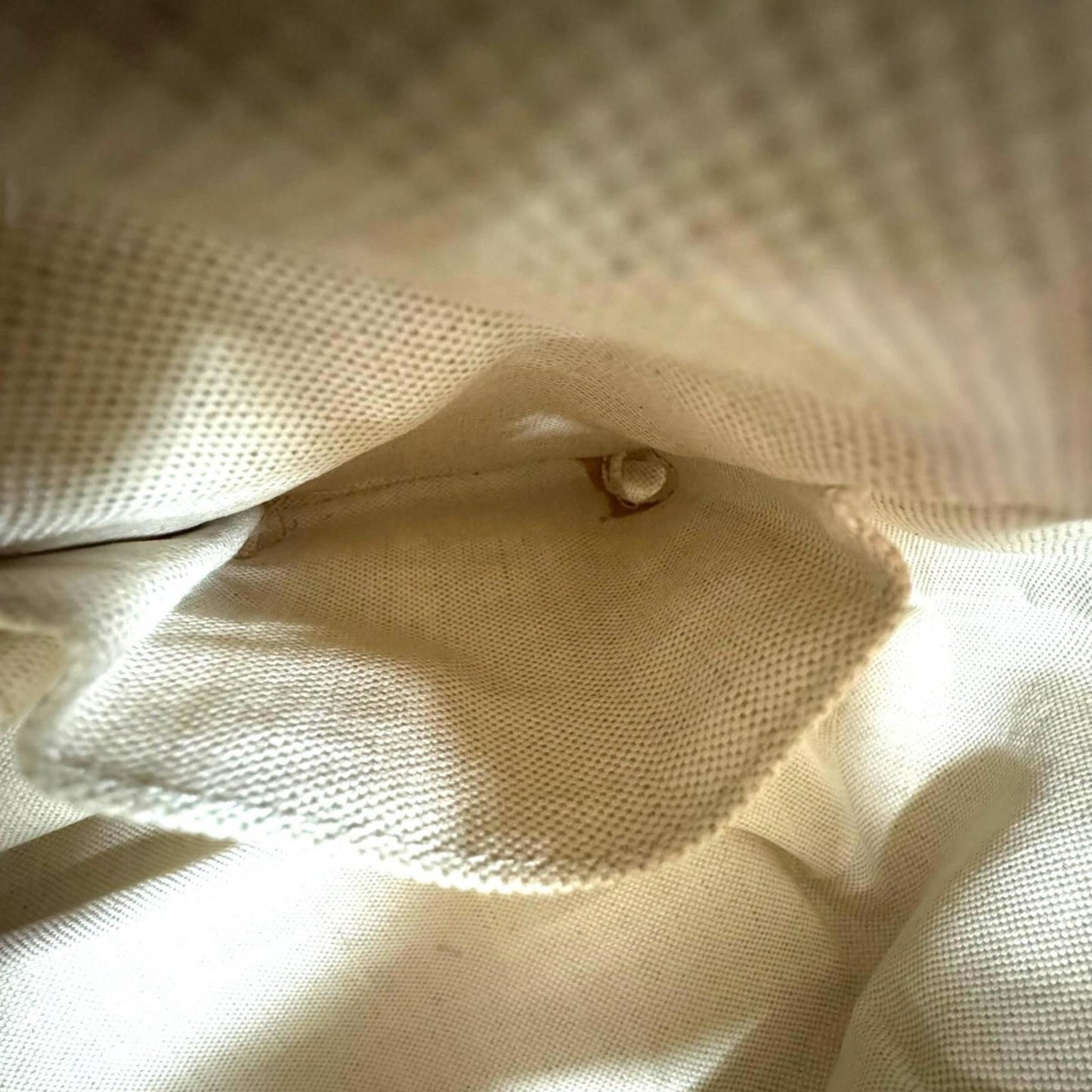 Gucci Beige Gg Canvas Handbag