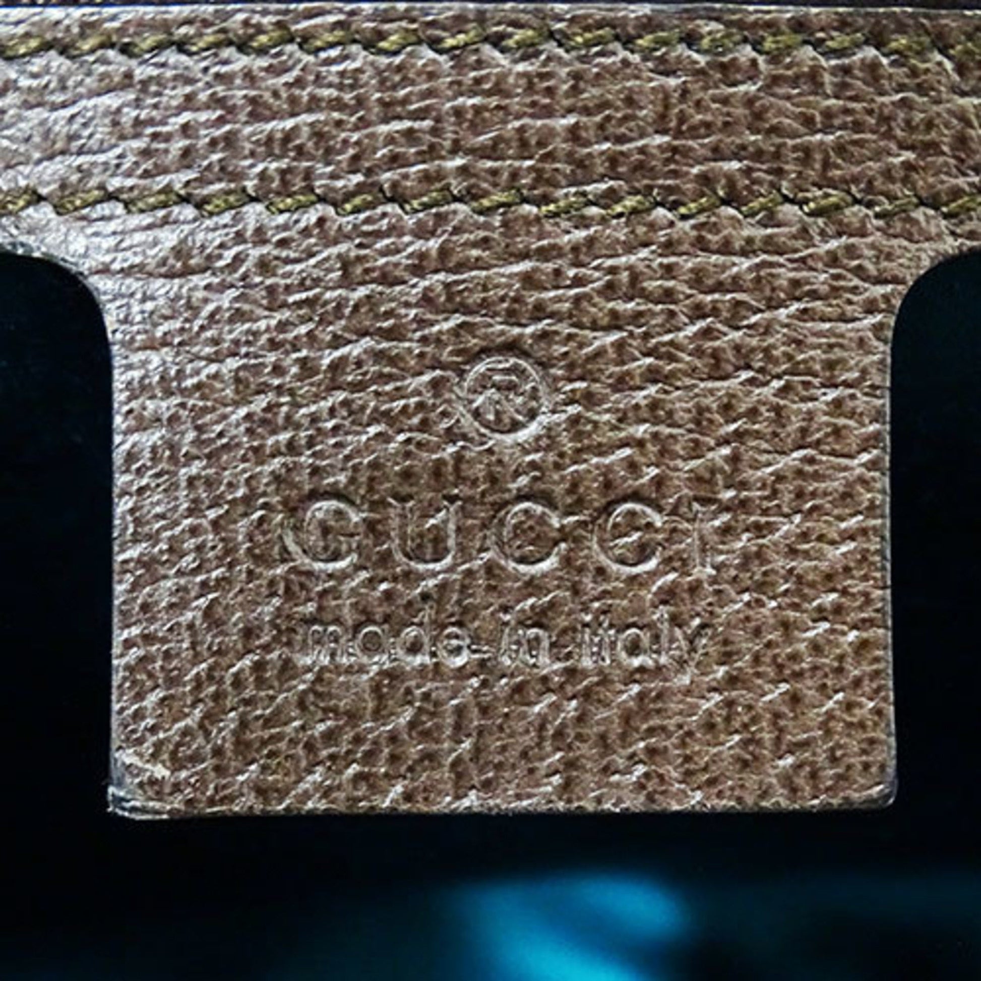 Gucci Brown Pvc Shoulder Bag