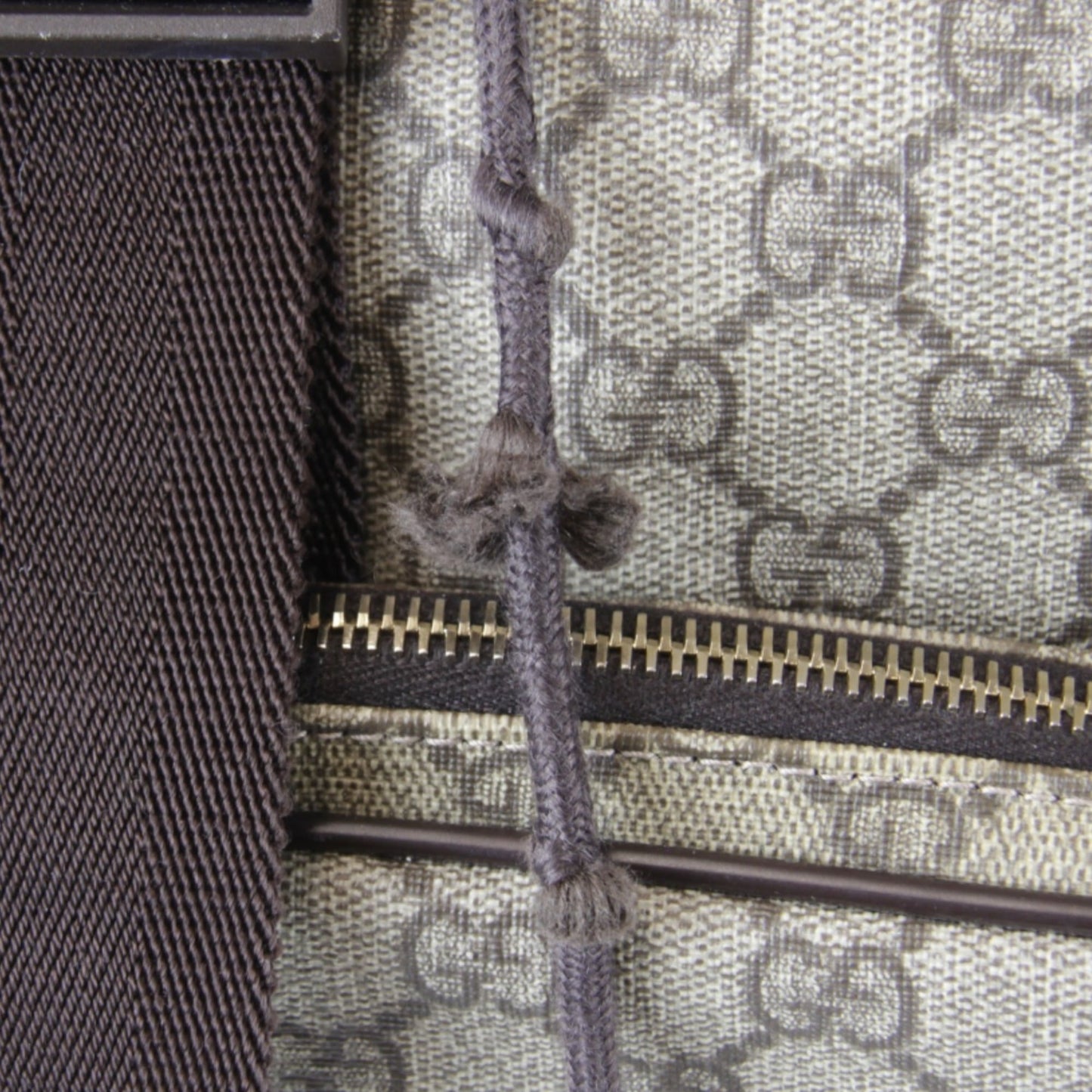 Gucci Gg Plus Beige Gg Plus Backpack
