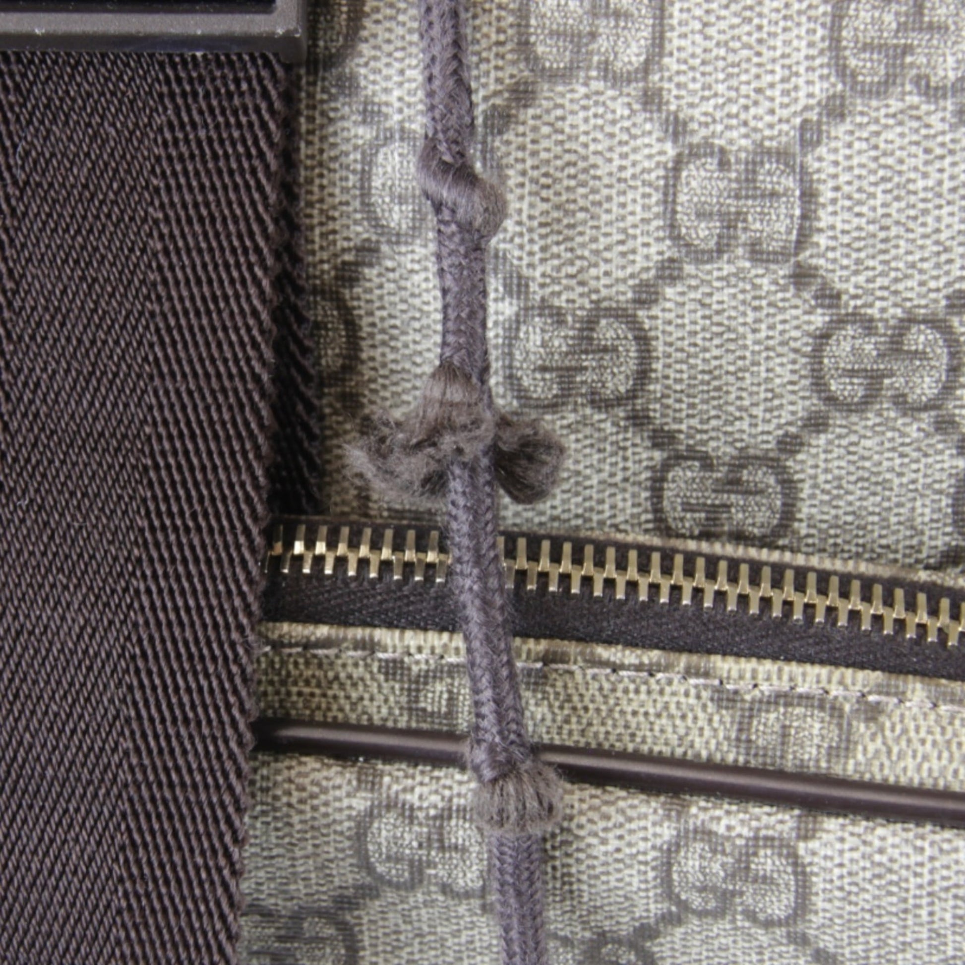 Gucci Gg Plus Beige Gg Plus Backpack