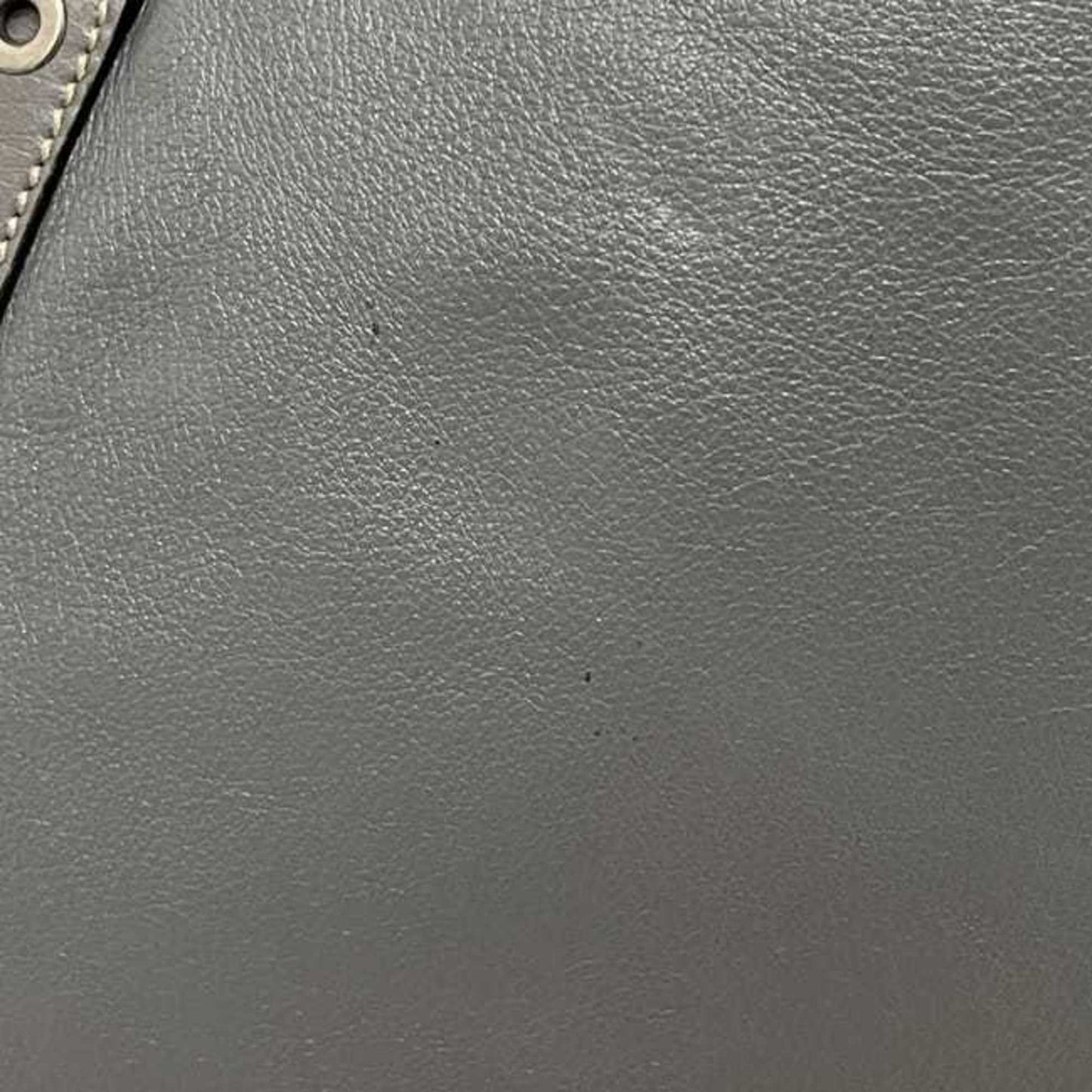 Gucci Hysteria Gray Leather Tote Bag