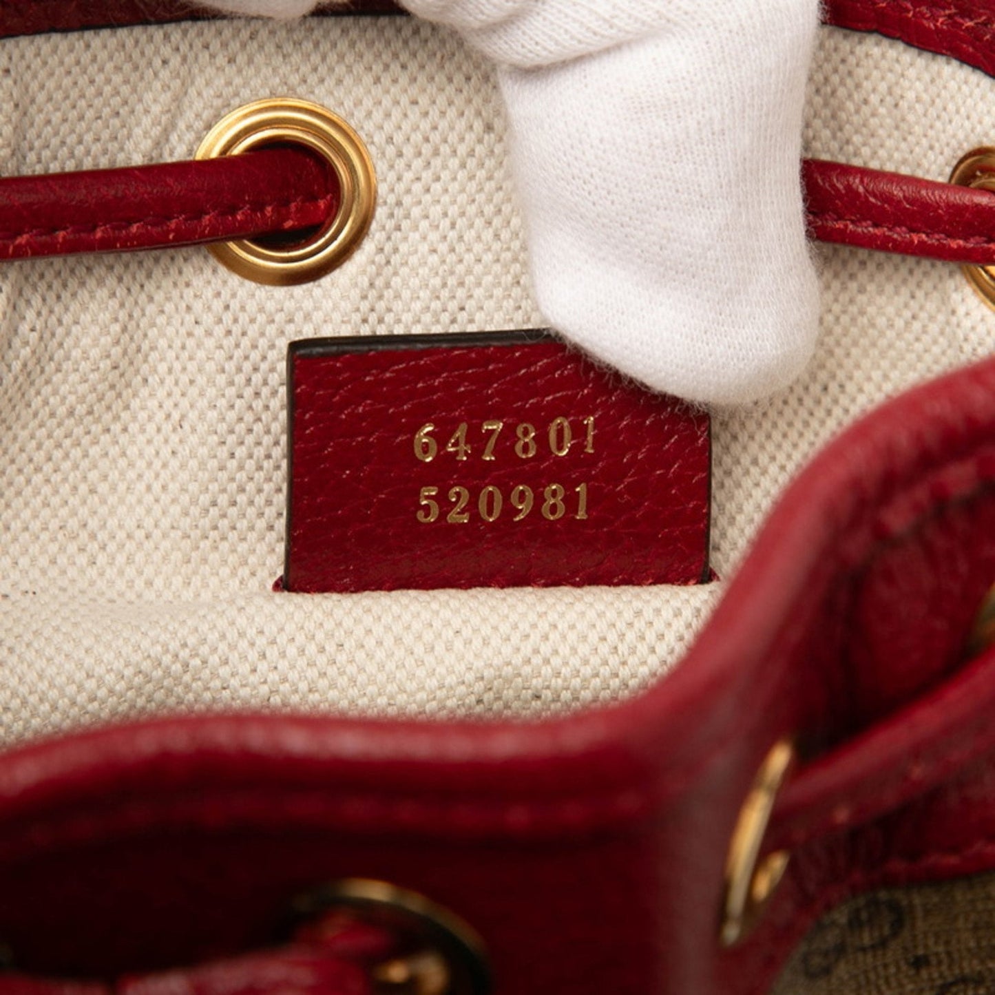 Gucci Brown Red Color Pvc Leather Shoulder Bag