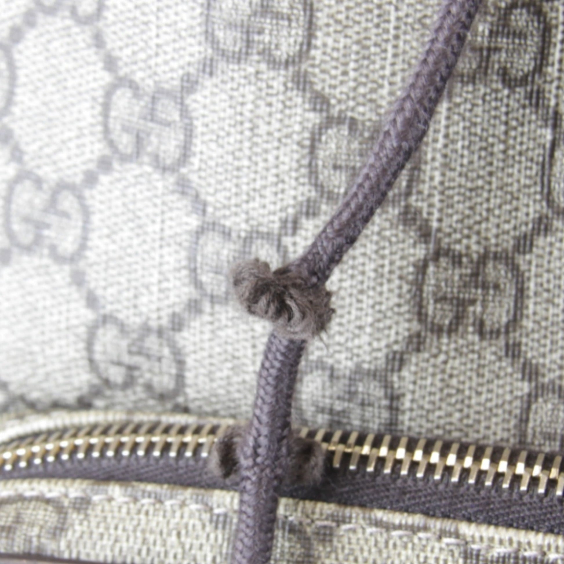 Gucci Gg Plus Beige Gg Plus Backpack