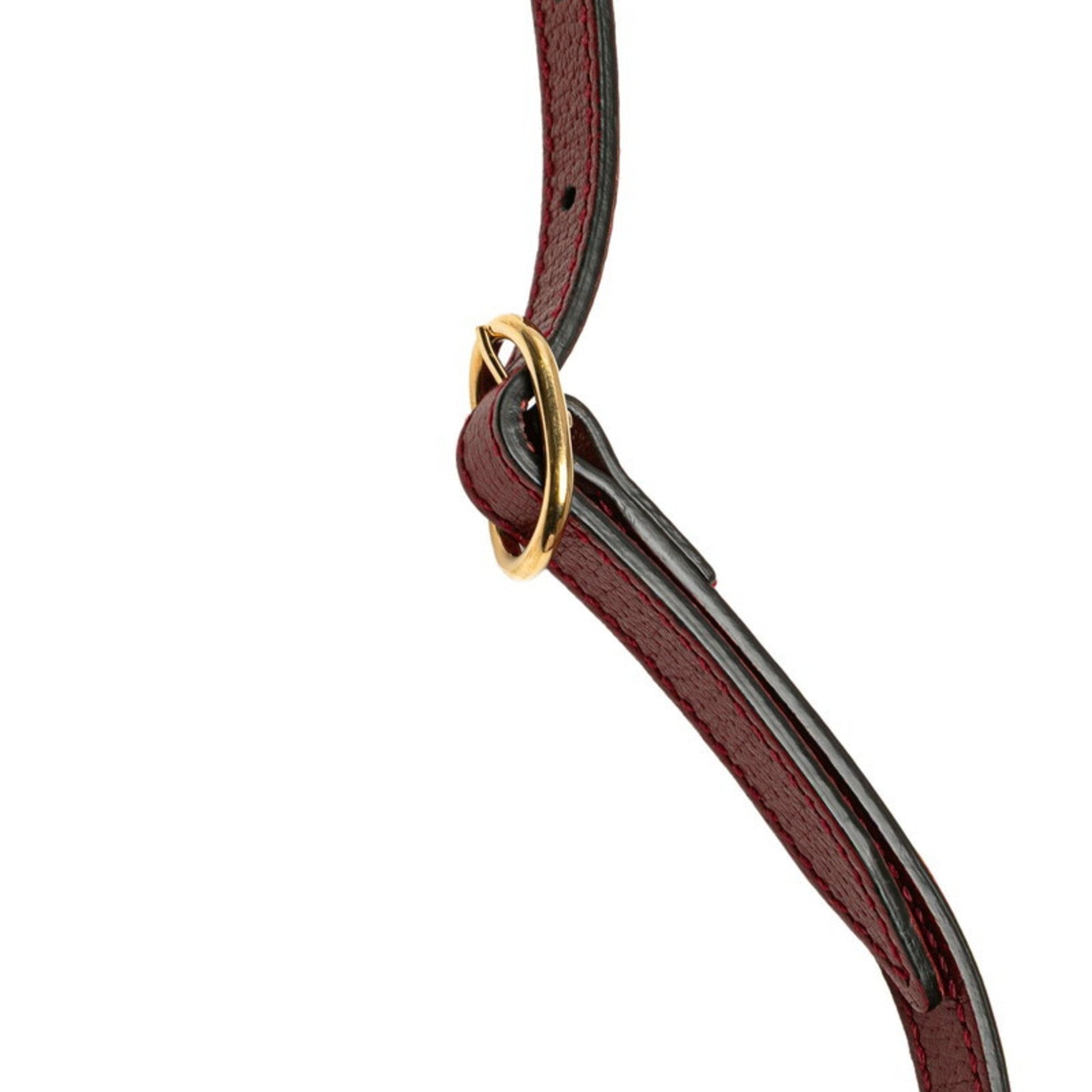 Gucci Brown Red Color Pvc Leather Shoulder Bag