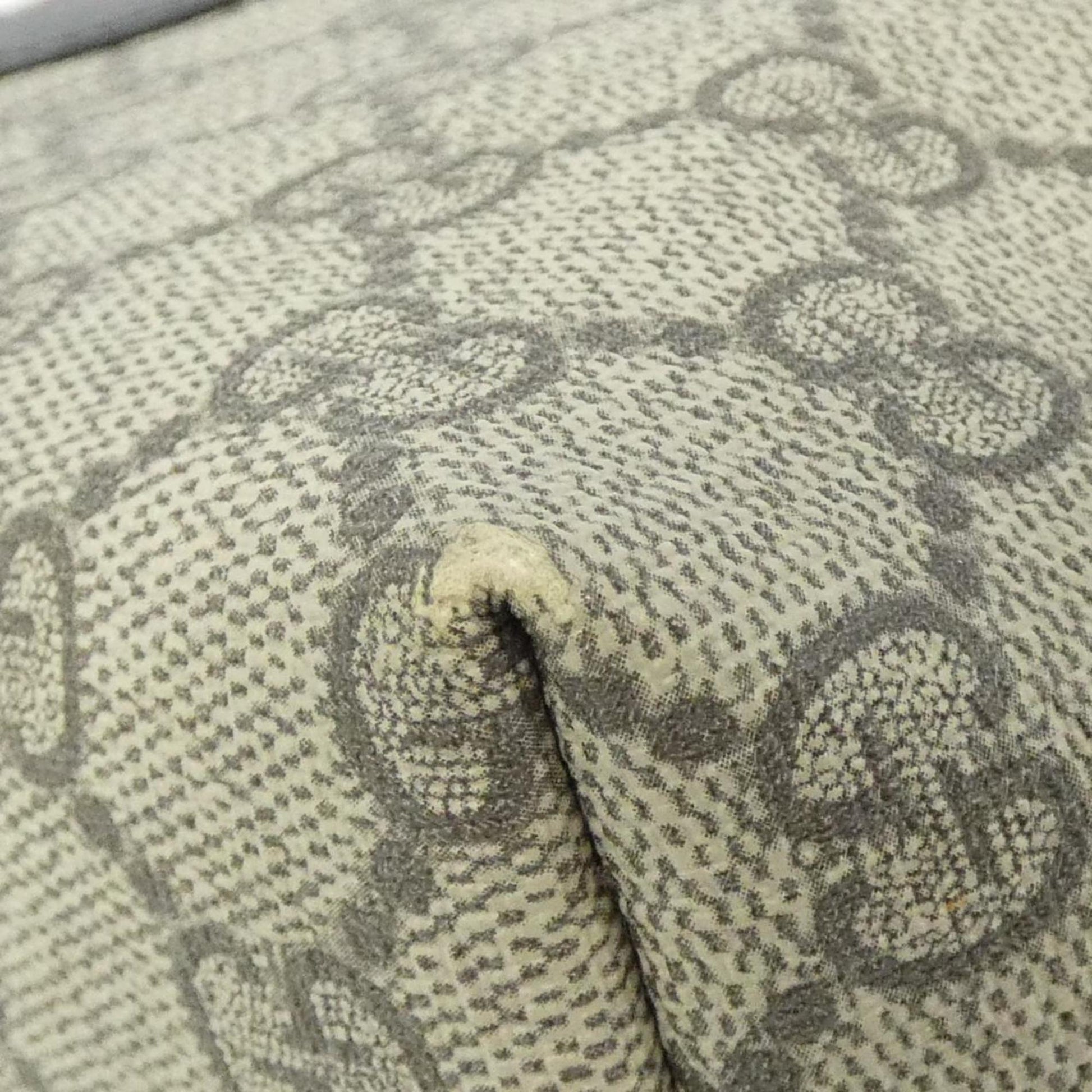 Gucci Beige Gg Supreme Handbag