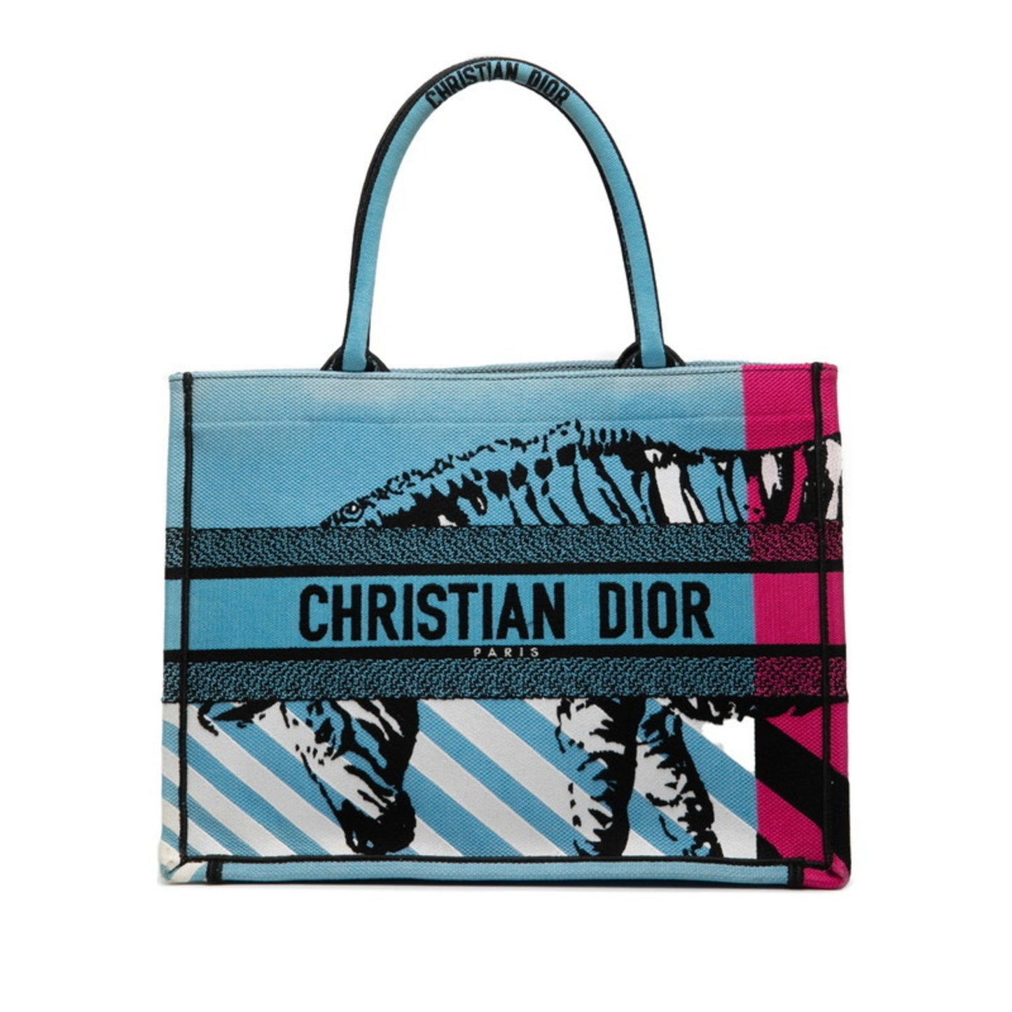Dior Handbag Christian Light Multi-Color Tote Bag Canvas Blue Multicolor