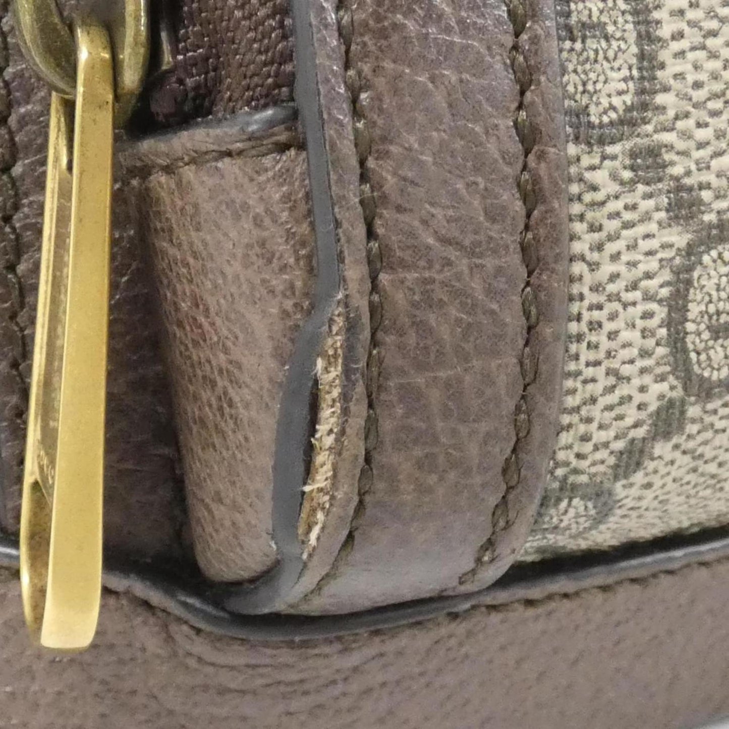 Gucci Beige Brown Gg Supreme Leather Backpack