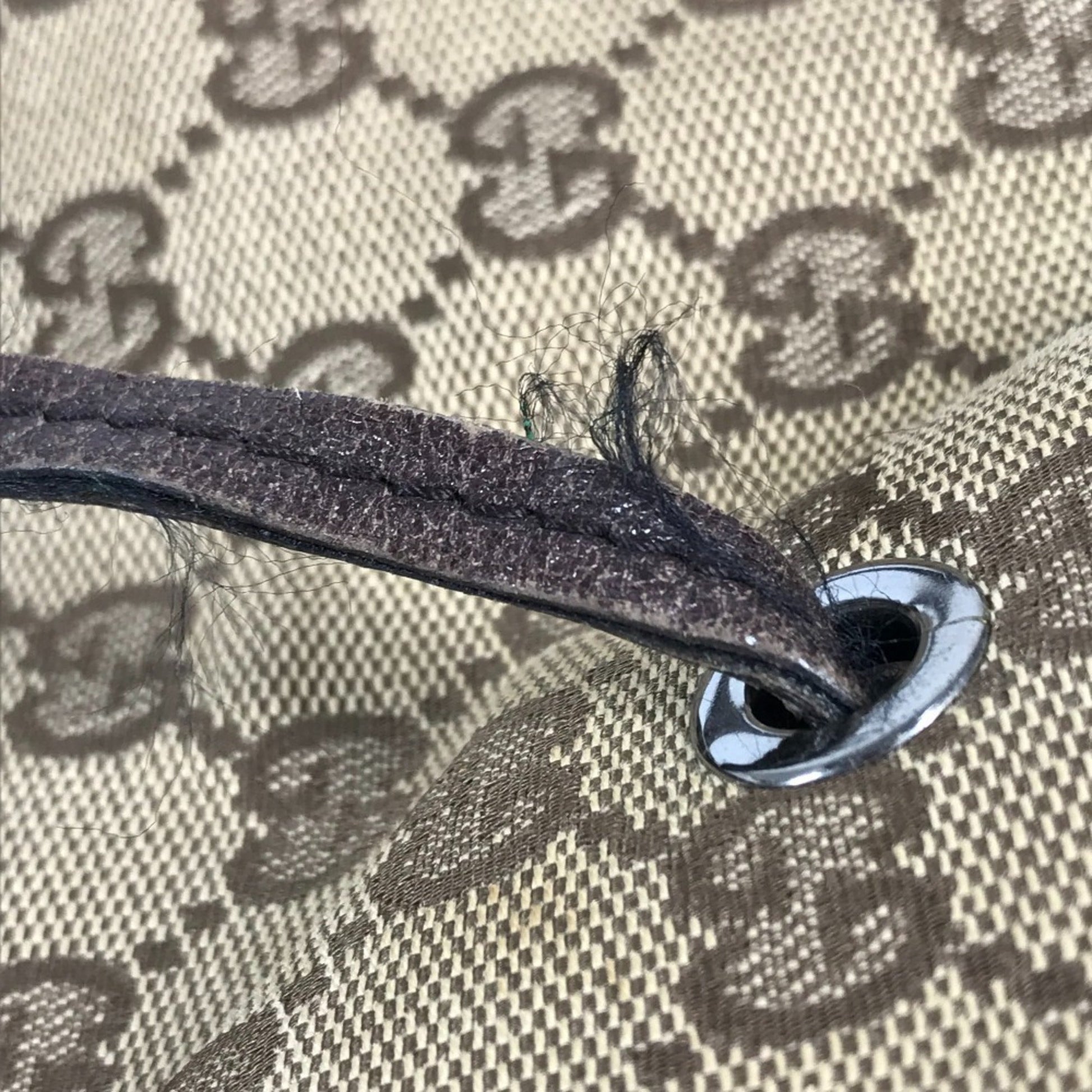 Gucci Beige Dark Brown Gg Canvas Backpack