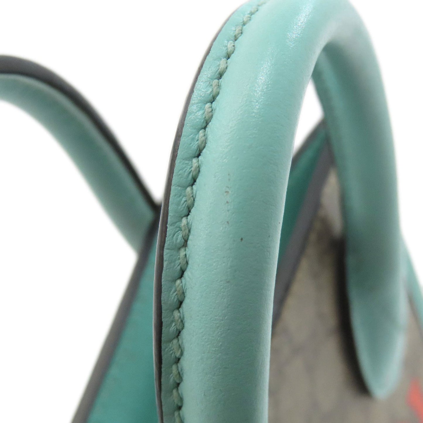 Gucci Brown Light Blue Pvc Handbag