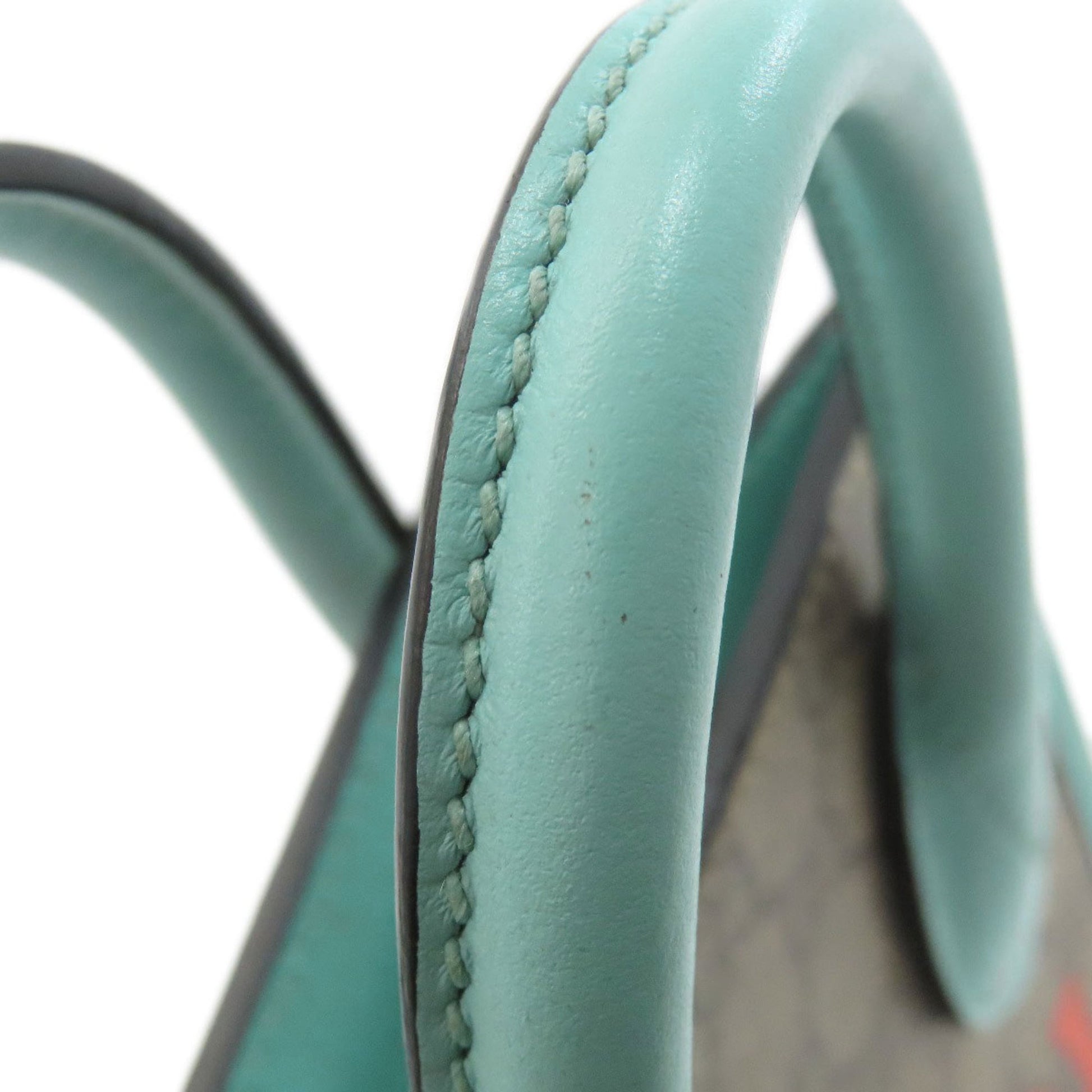Gucci Brown Light Blue Pvc Handbag