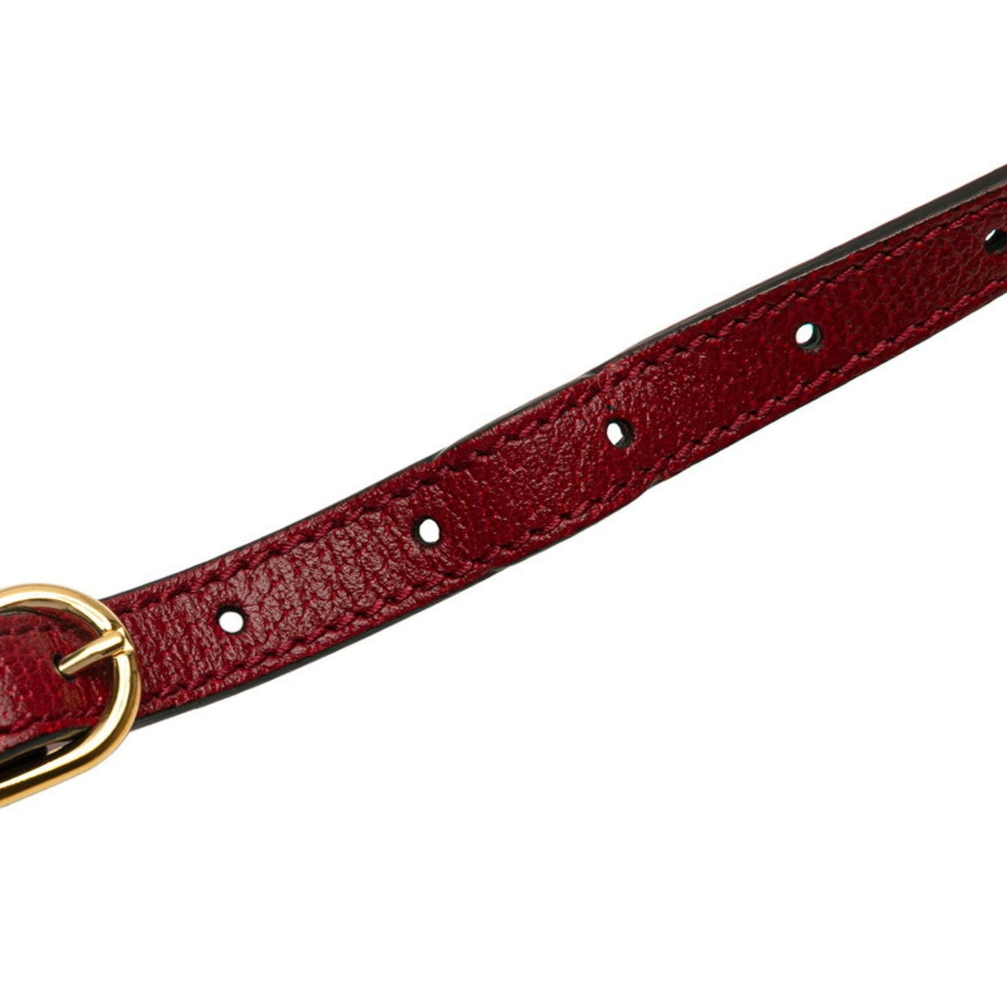 Gucci Brown Red Color Pvc Leather Shoulder Bag