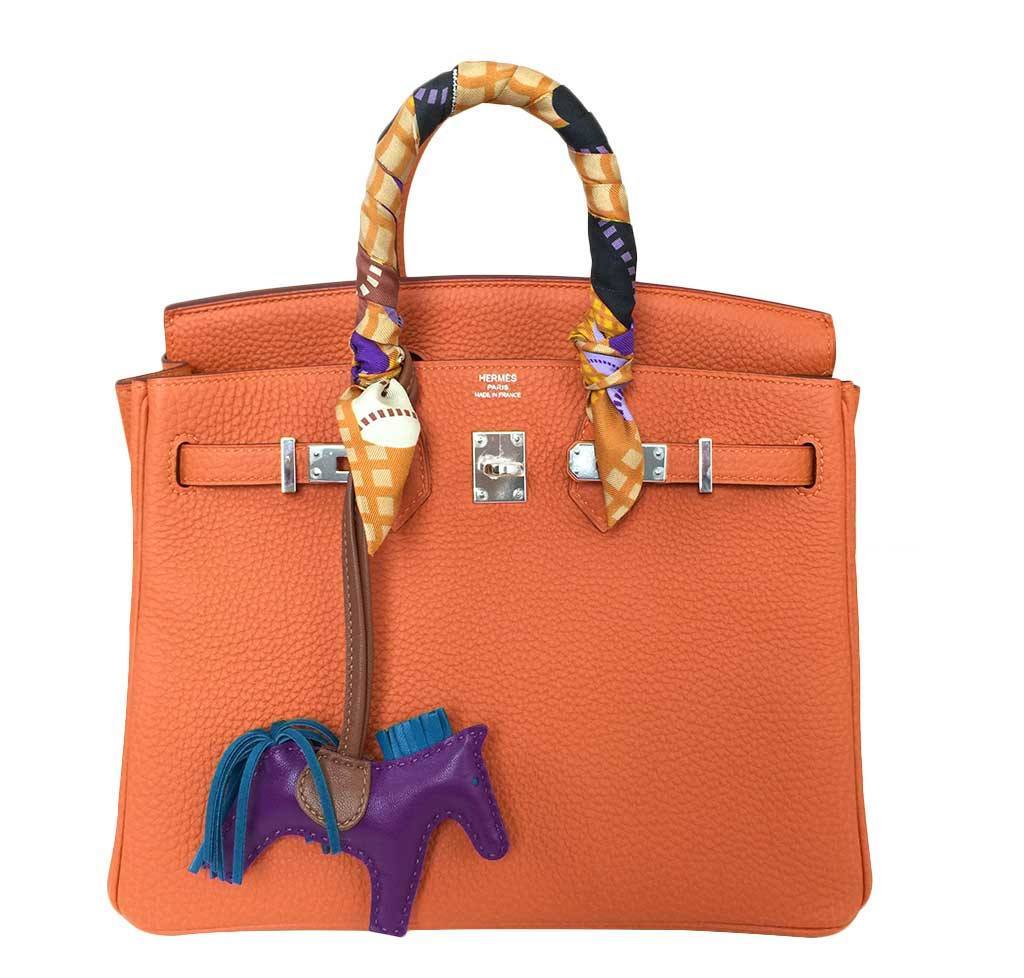 Hermes Birkin Feu Clemence Bag Travel Bag