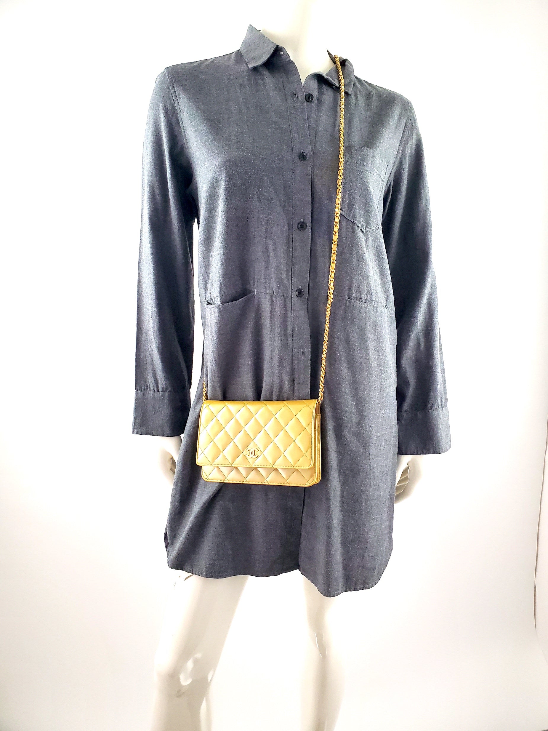 Chanel Wallet on the Chain Bag