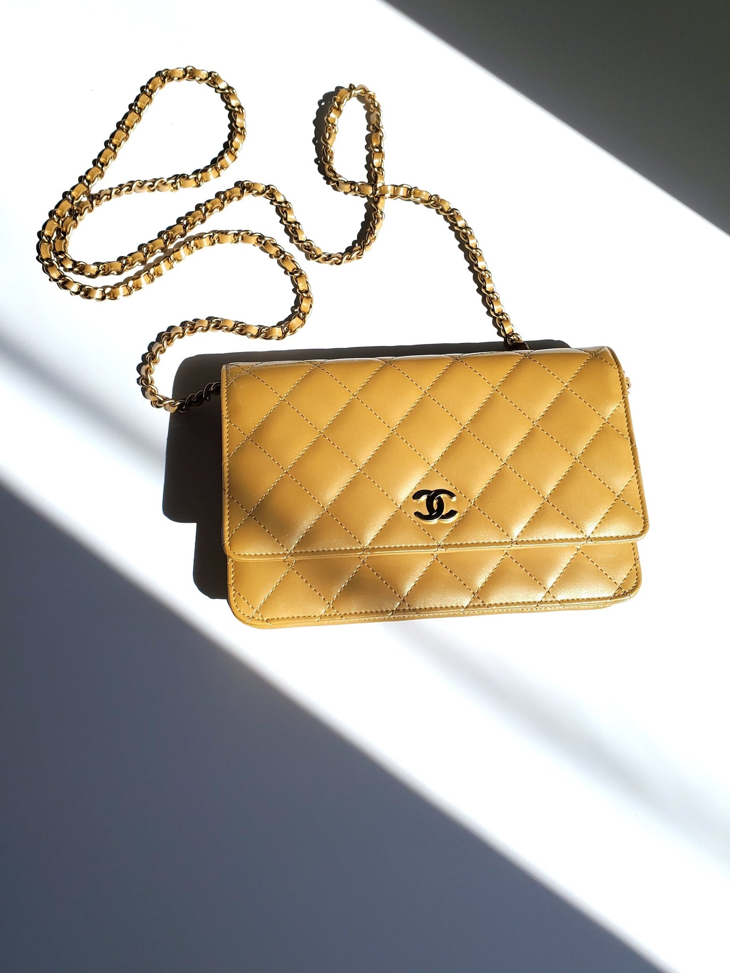 Chanel Wallet on the Chain Bag