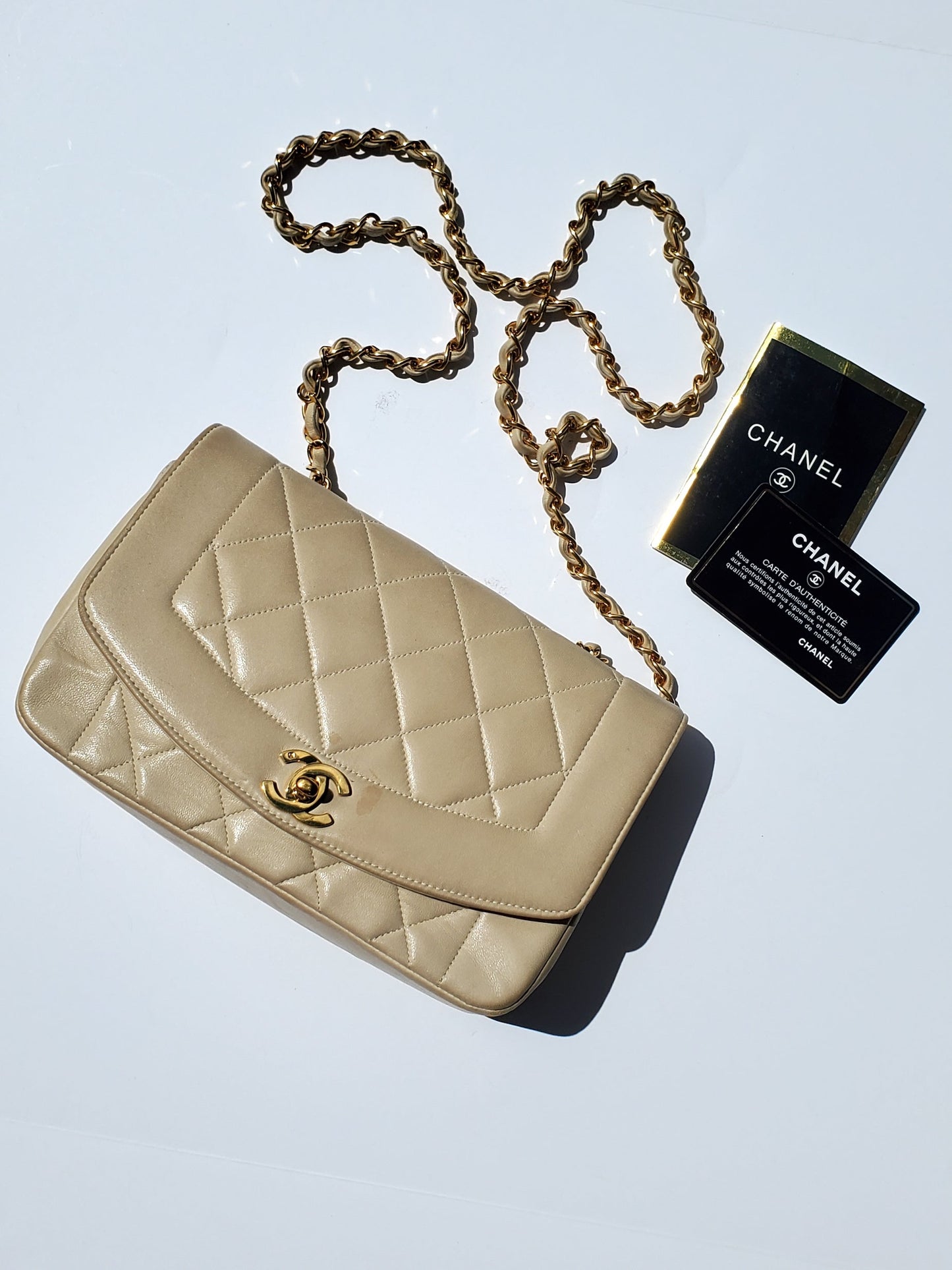 Chanel Diana Flap Bag